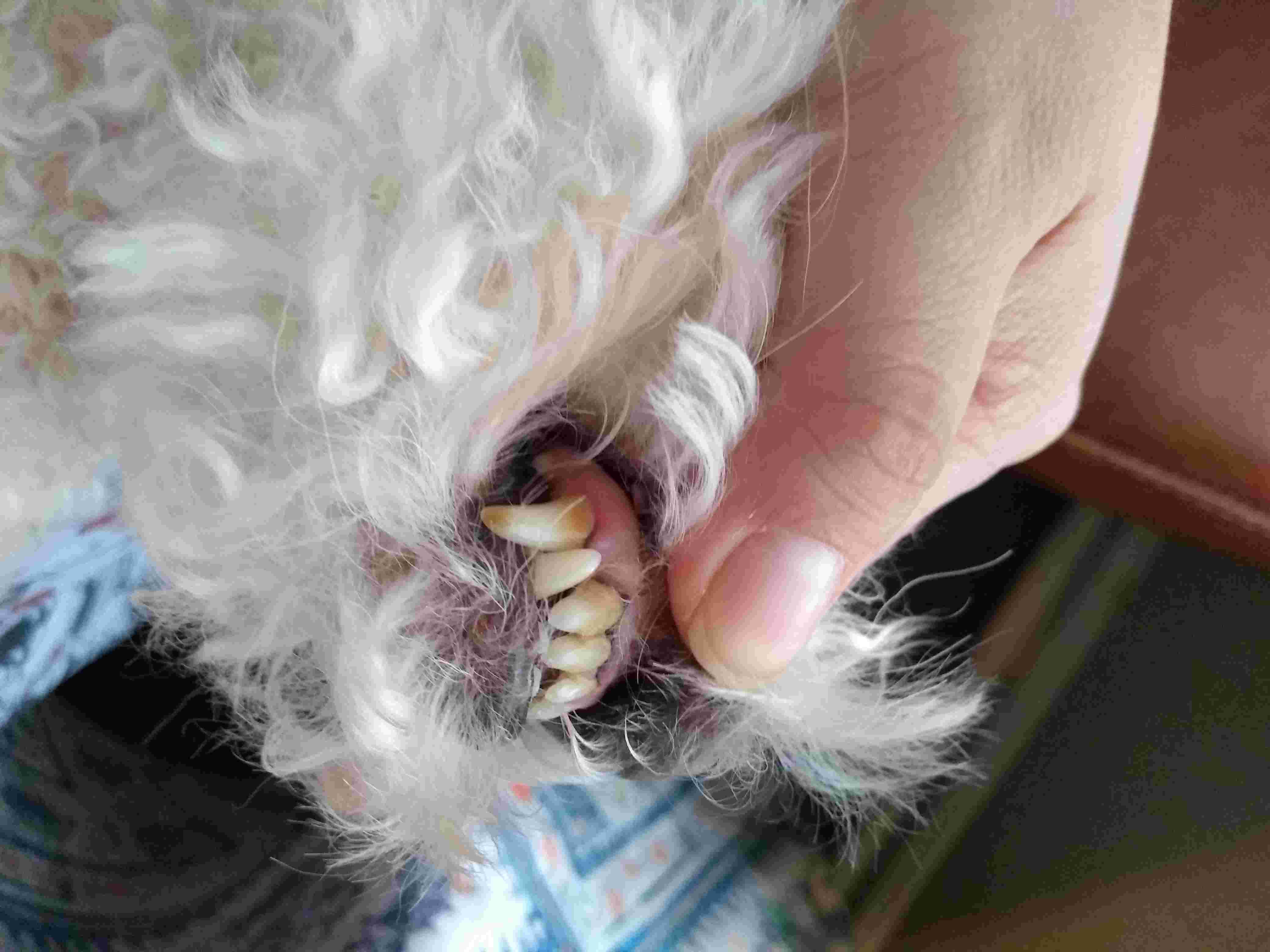 Question details sensitive content