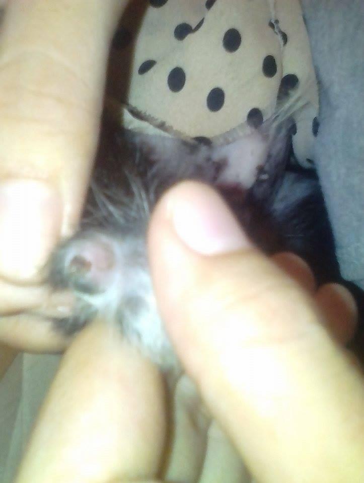 Question details sensitive content