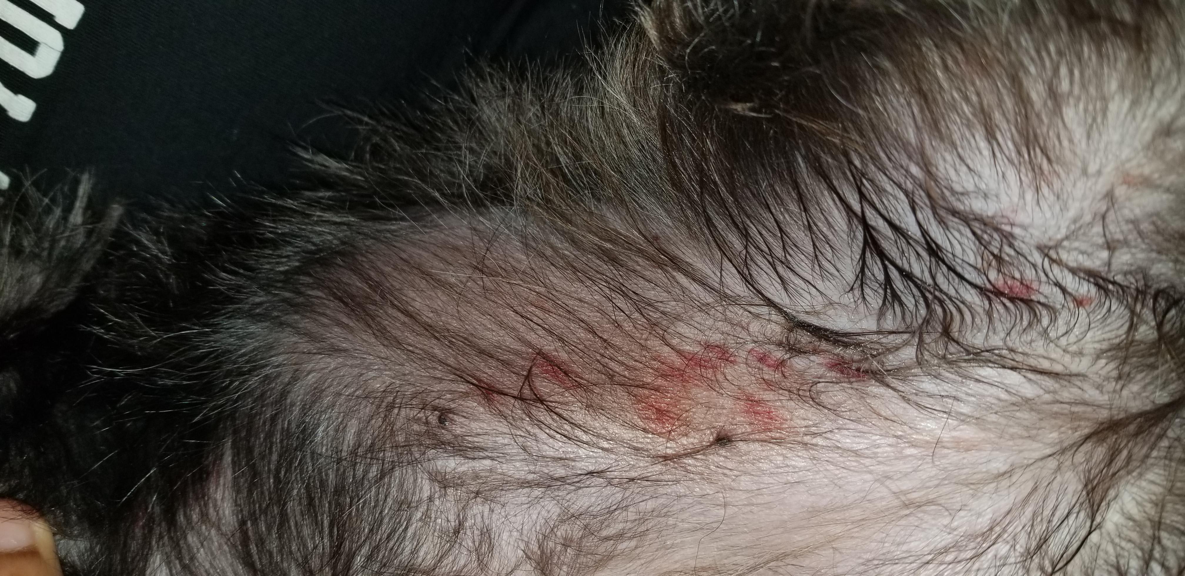 Question details sensitive content