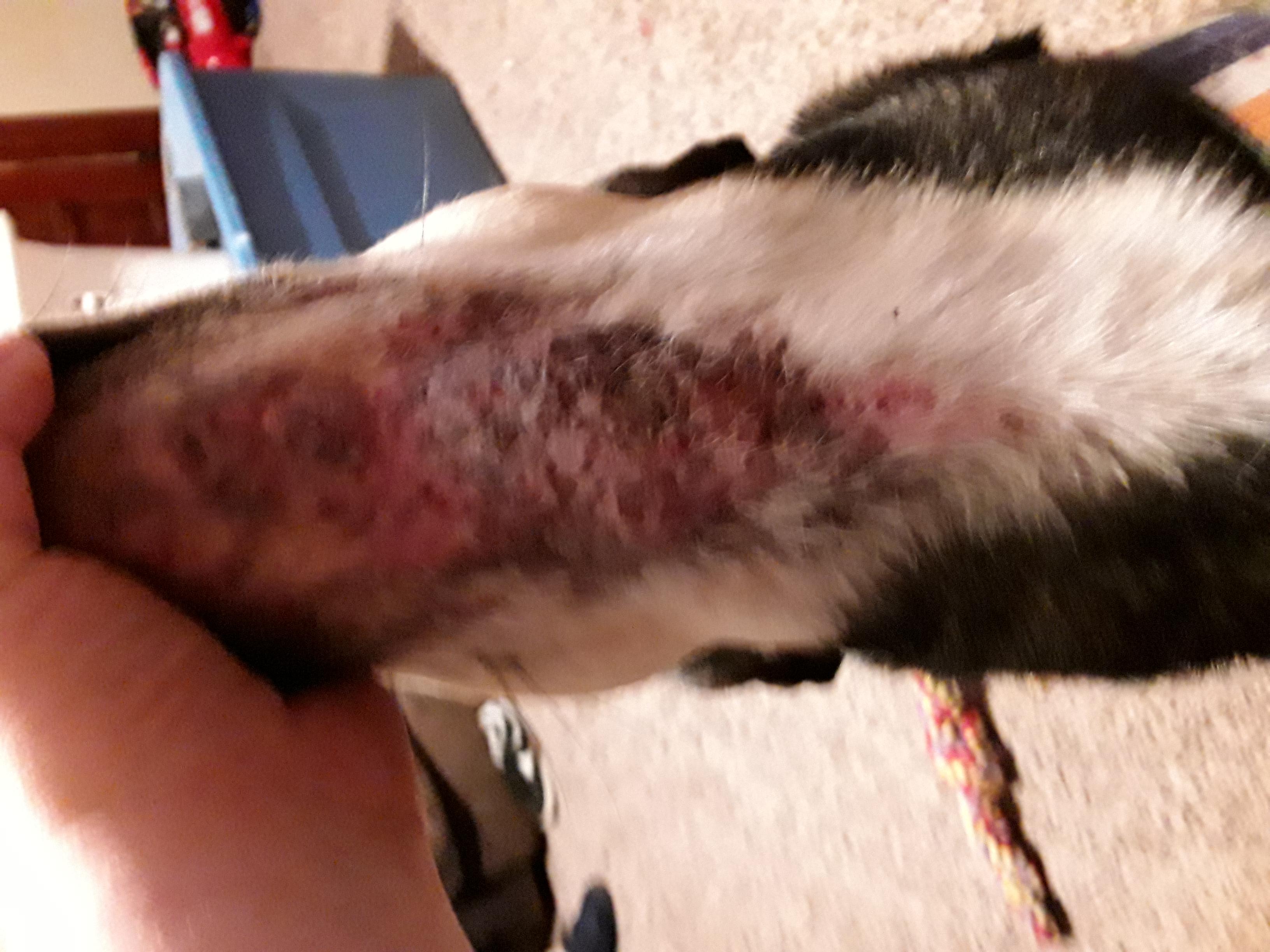 Question details sensitive content