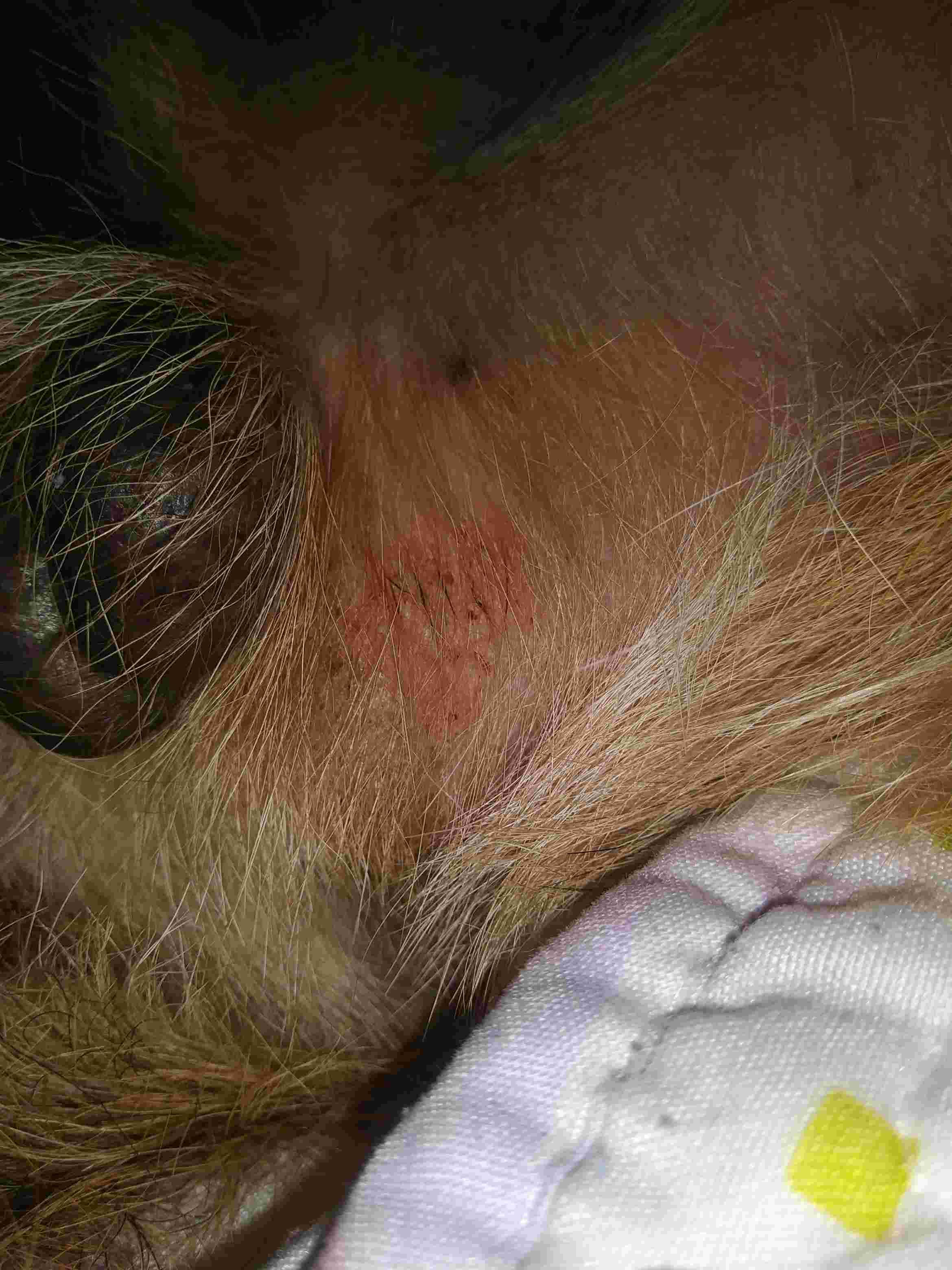 Question details sensitive content