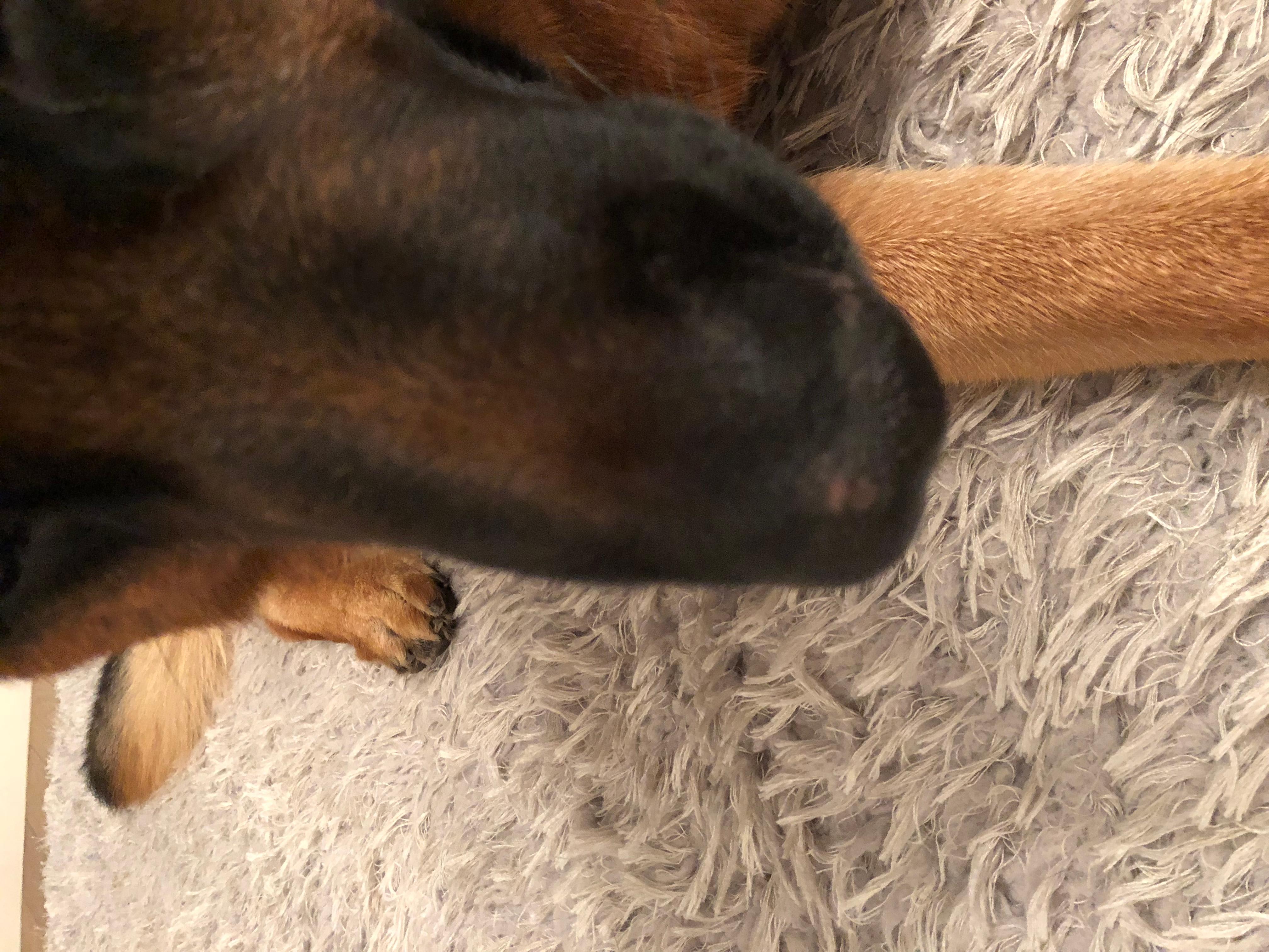 Question details sensitive content