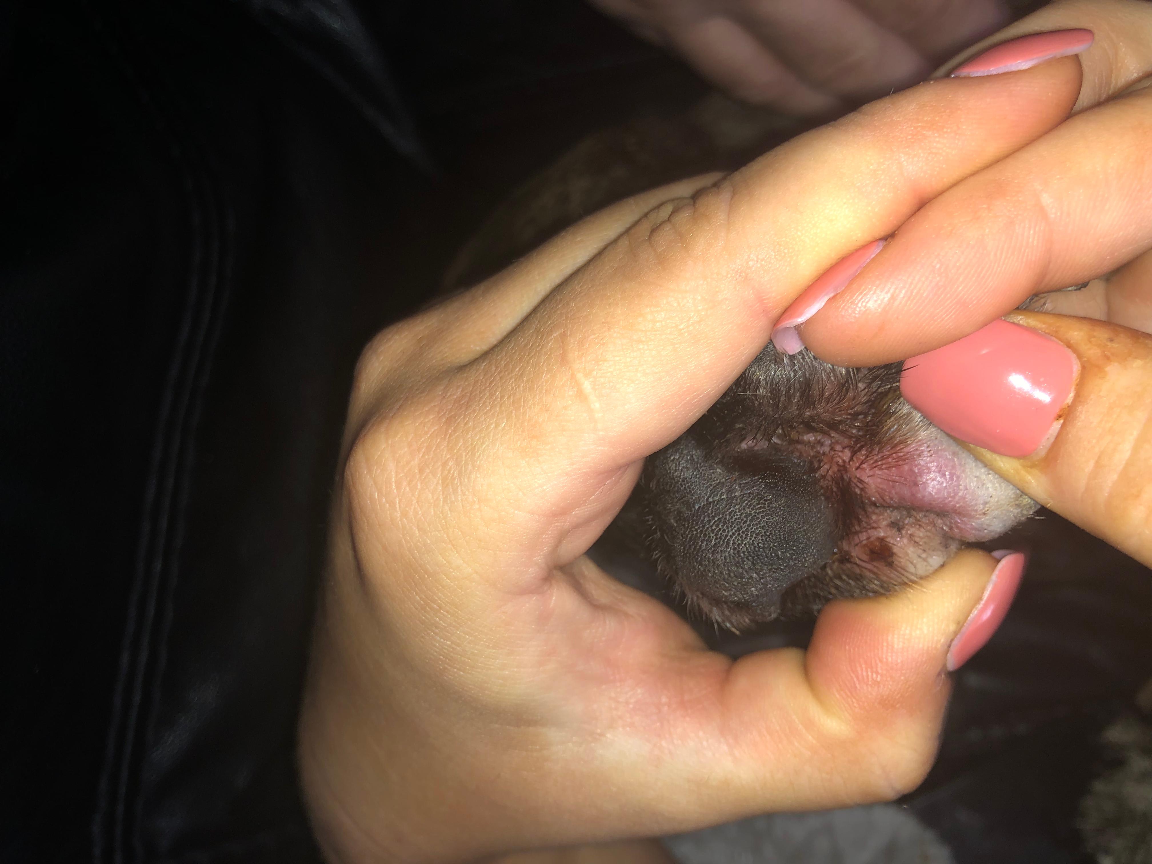 Question details sensitive content