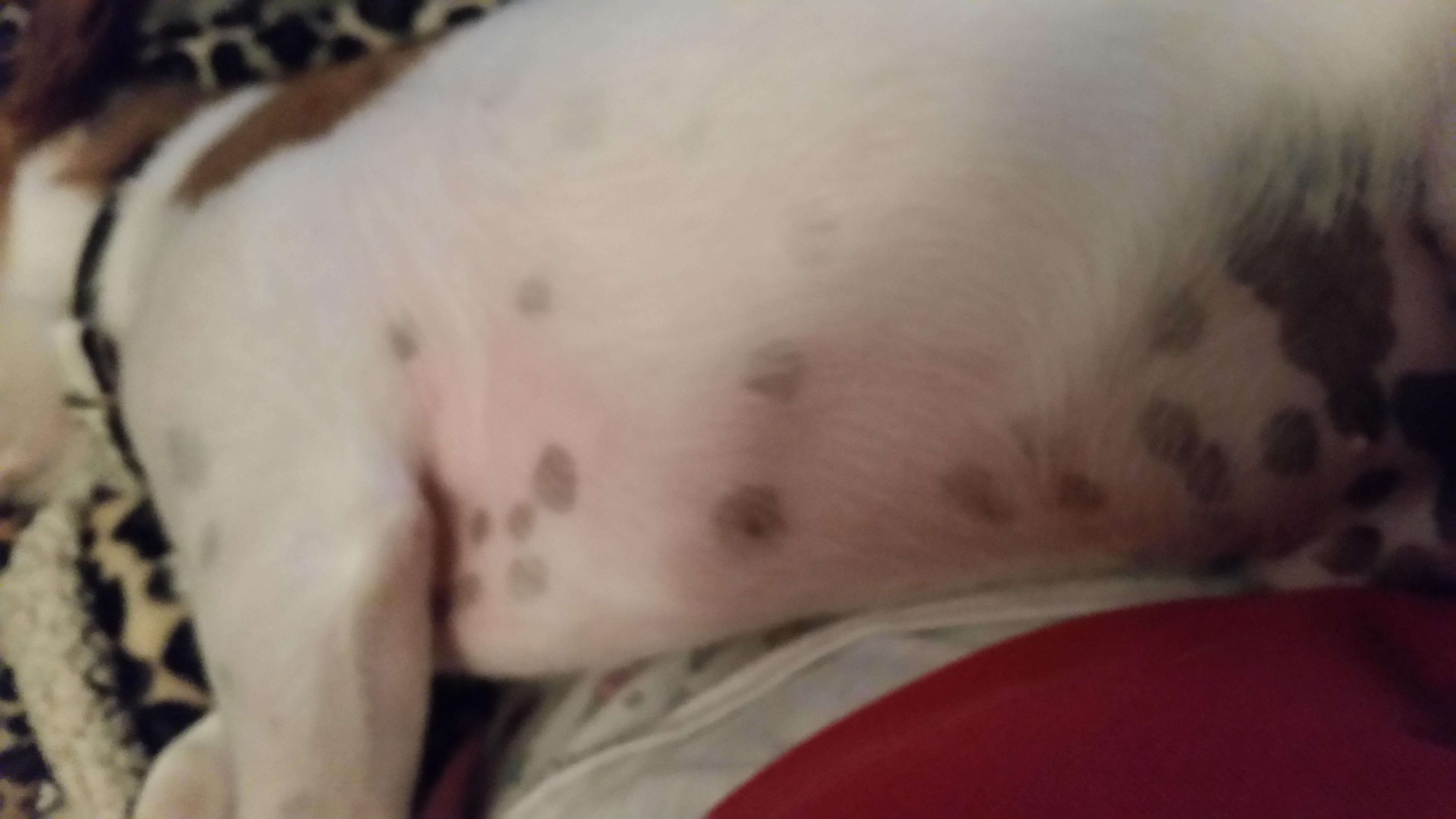 Question details sensitive content