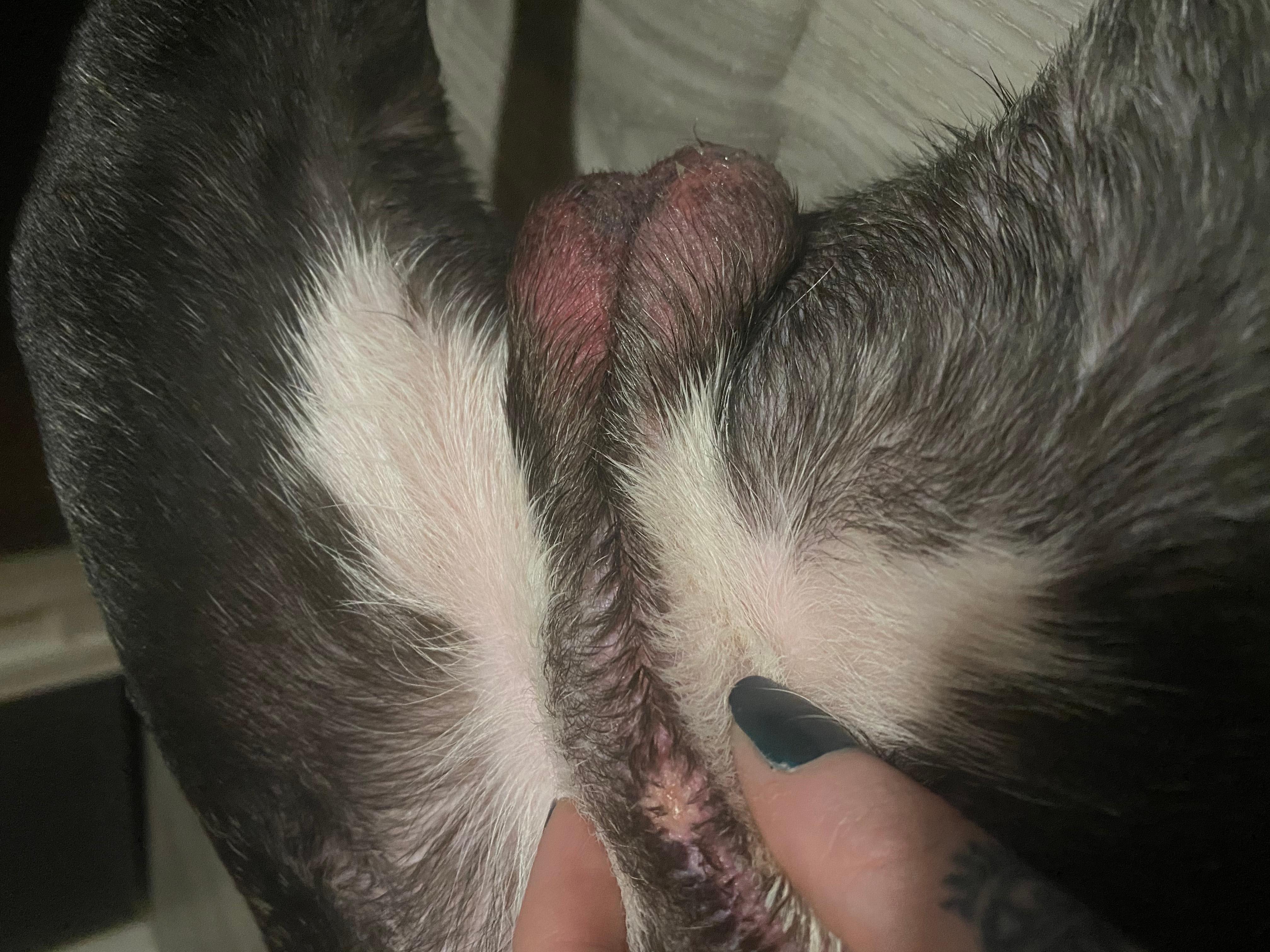 Question details sensitive content