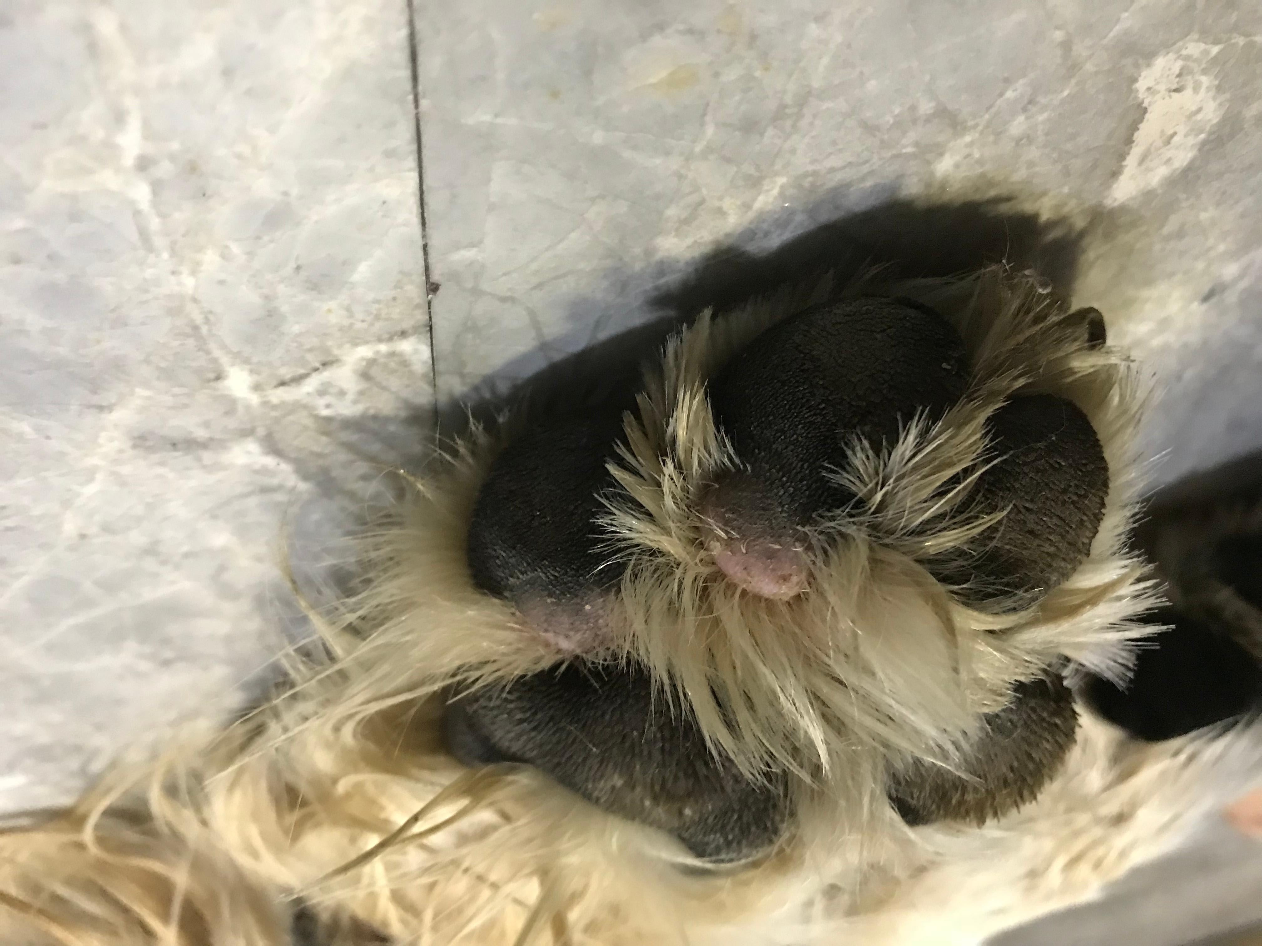 Question details sensitive content