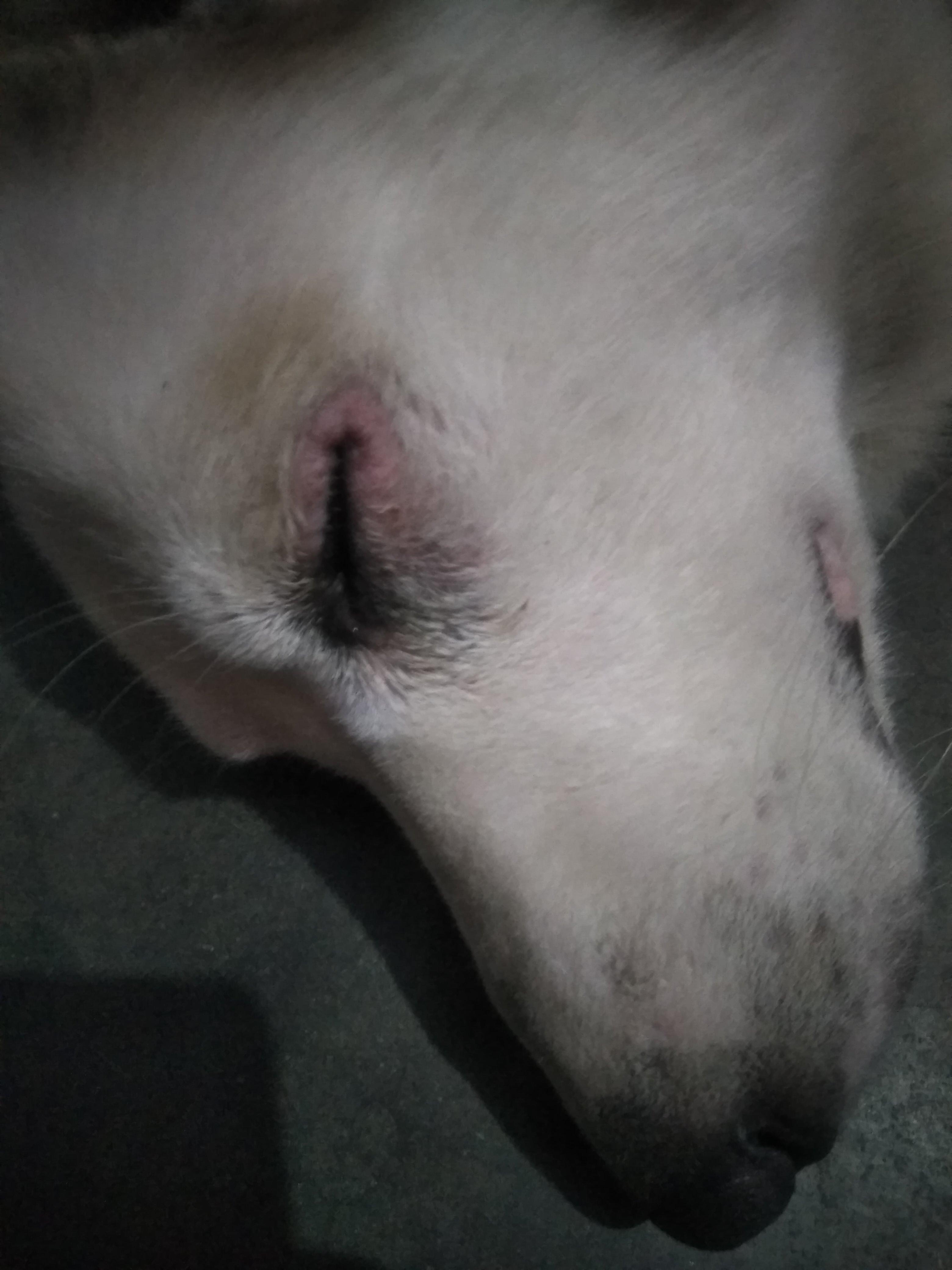 Question details sensitive content