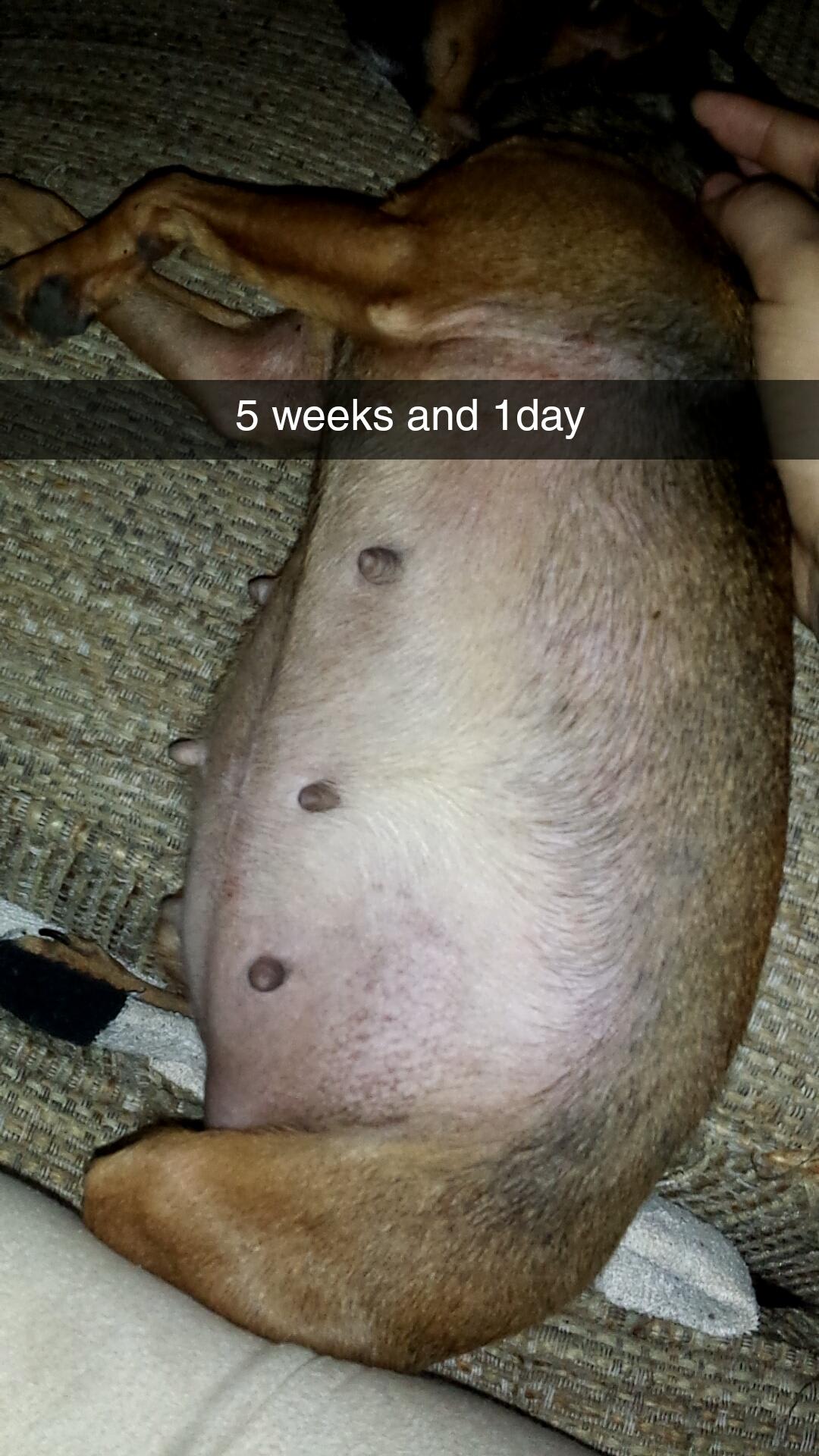 Question details sensitive content