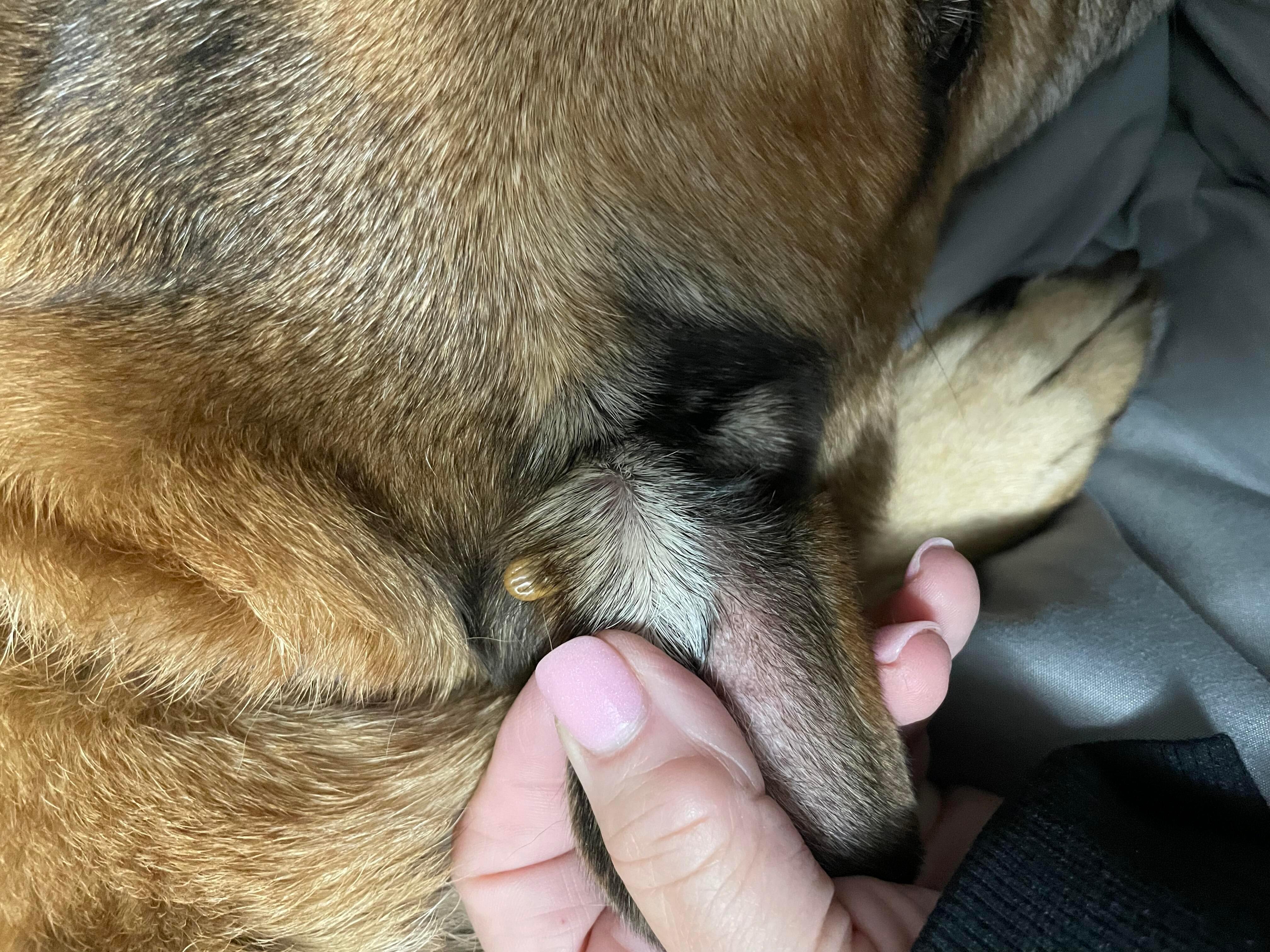 Question details sensitive content