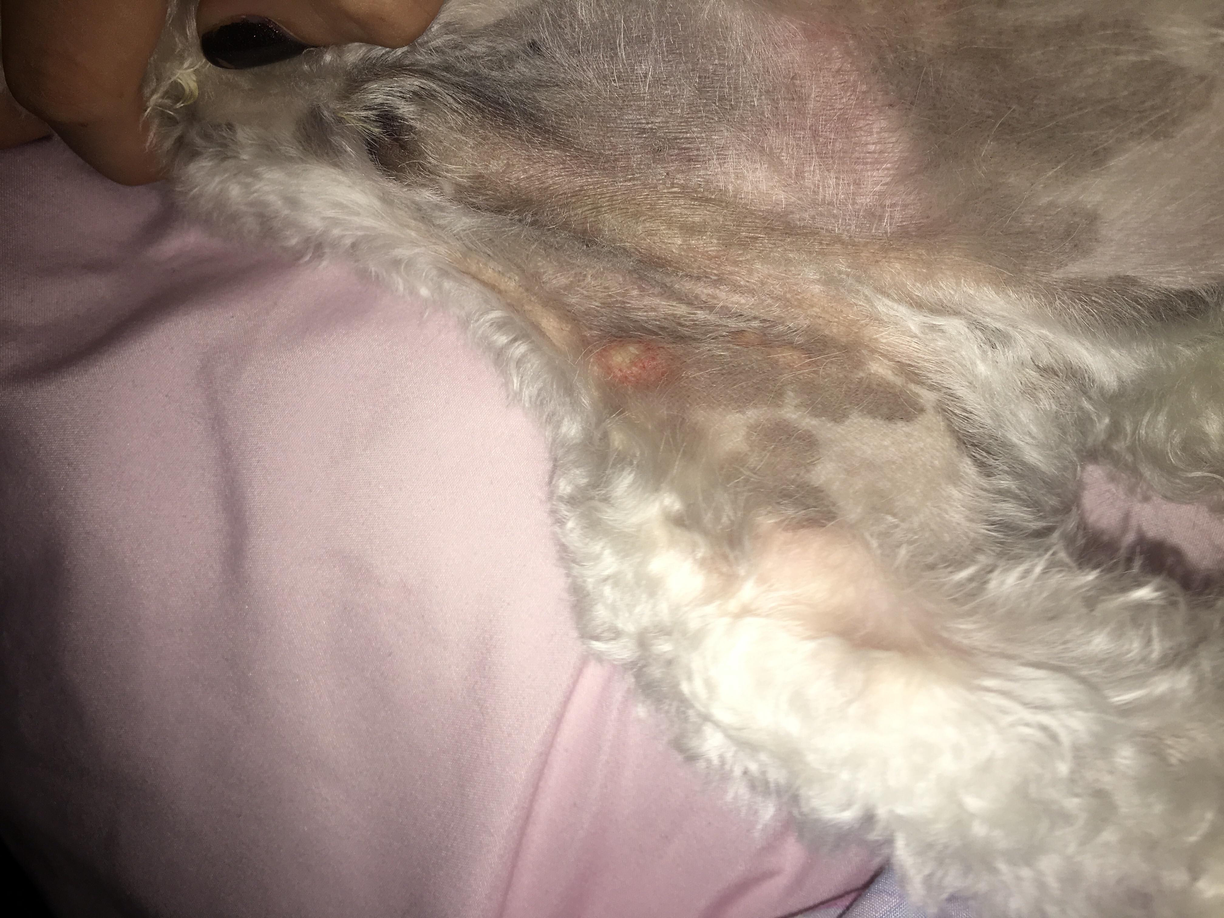 Question details sensitive content