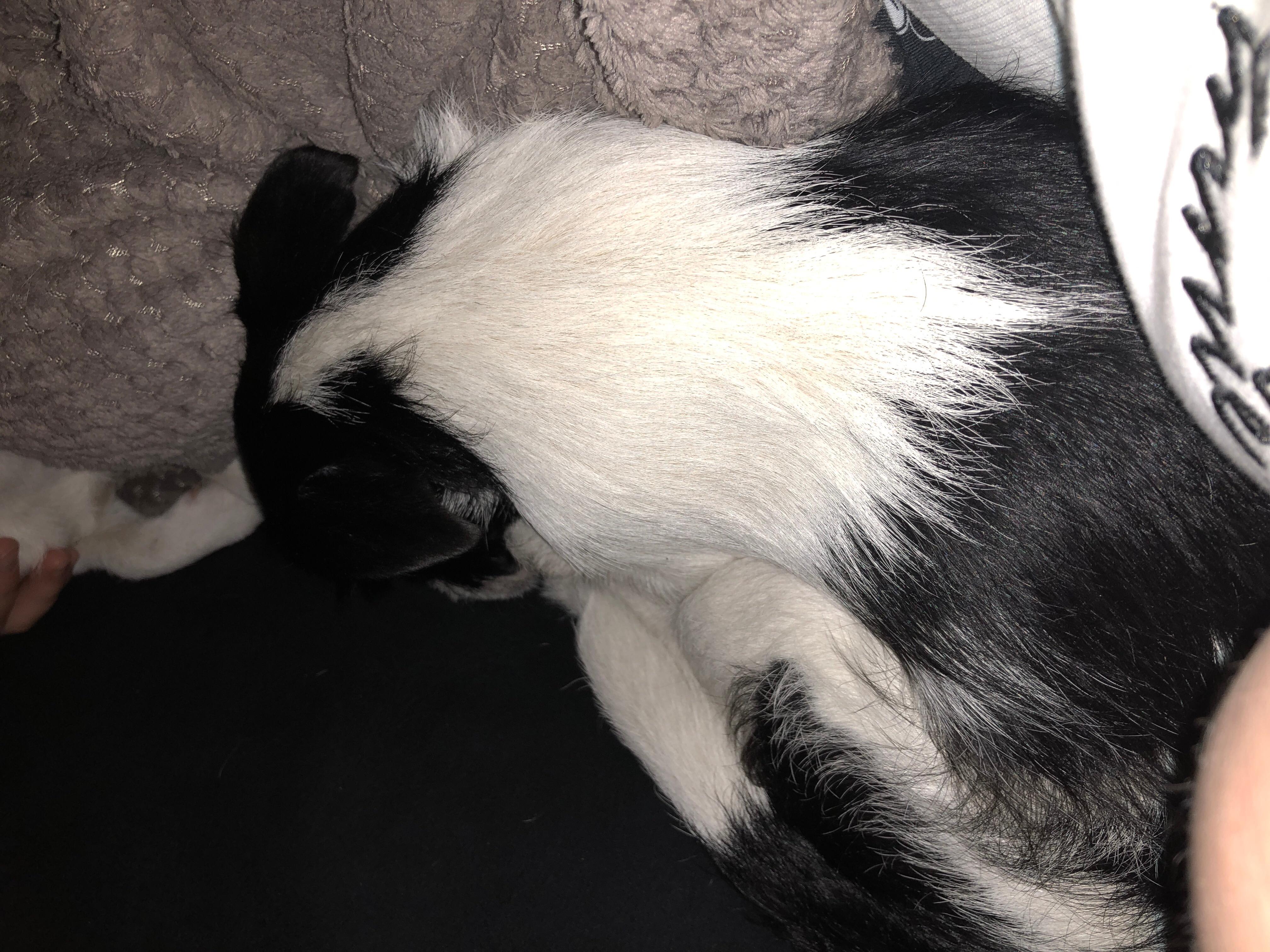 Question details sensitive content