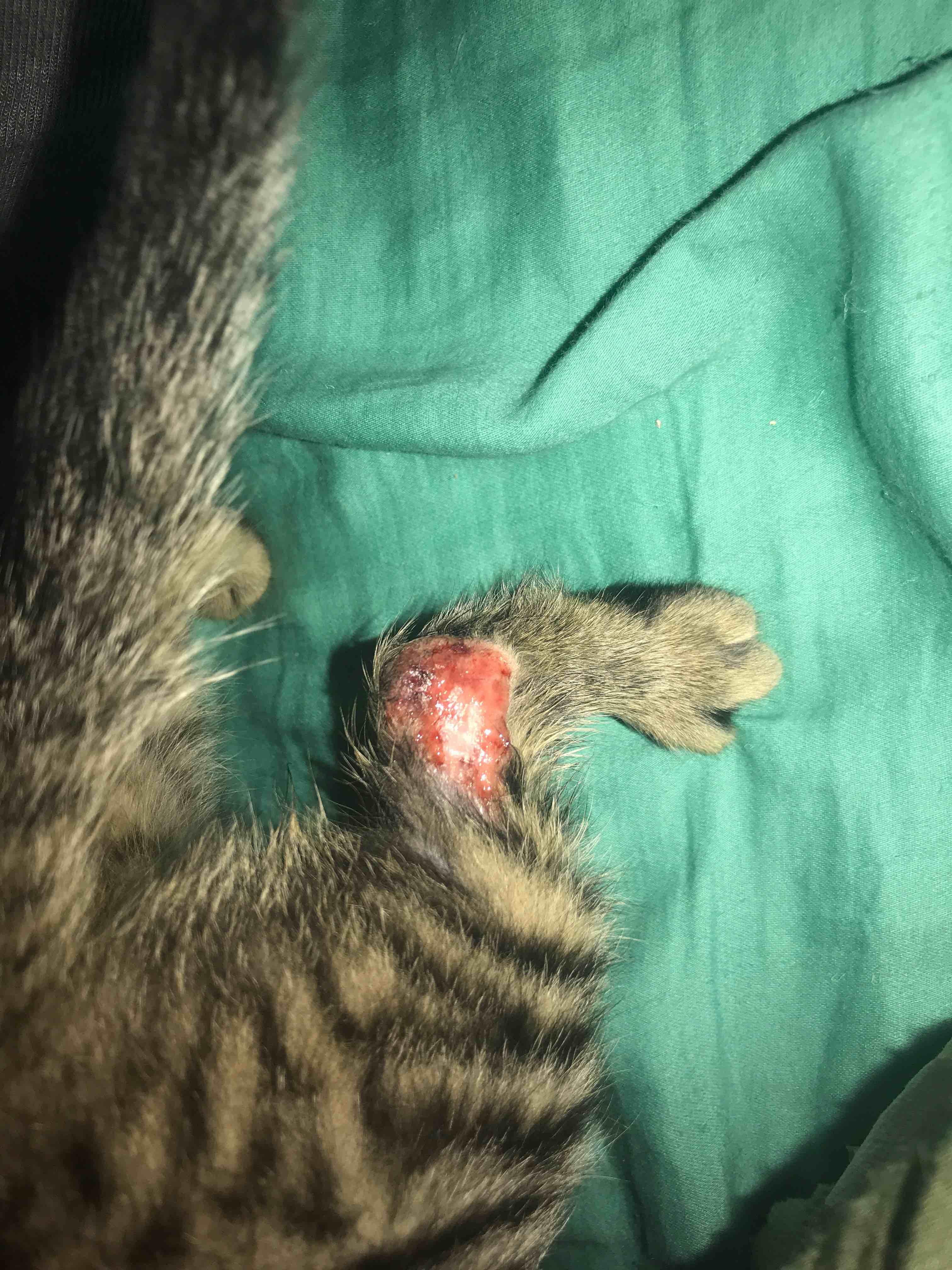 Question details sensitive content