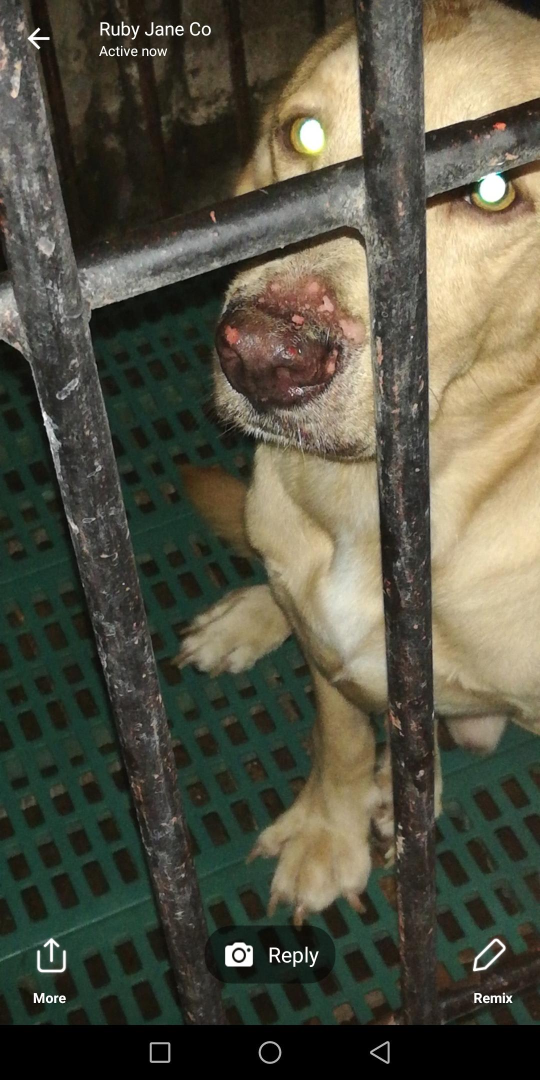 Question details sensitive content