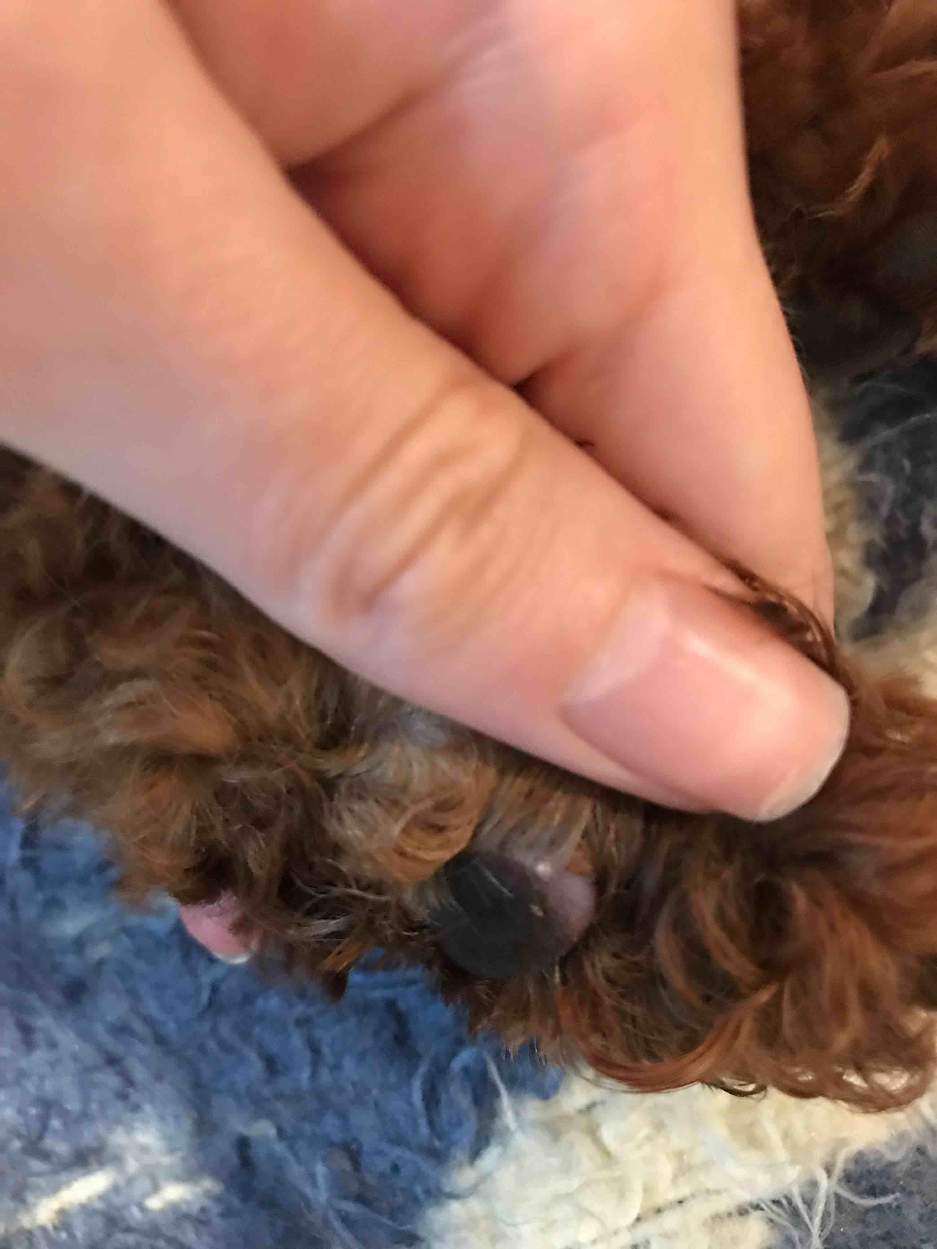 Question details sensitive content