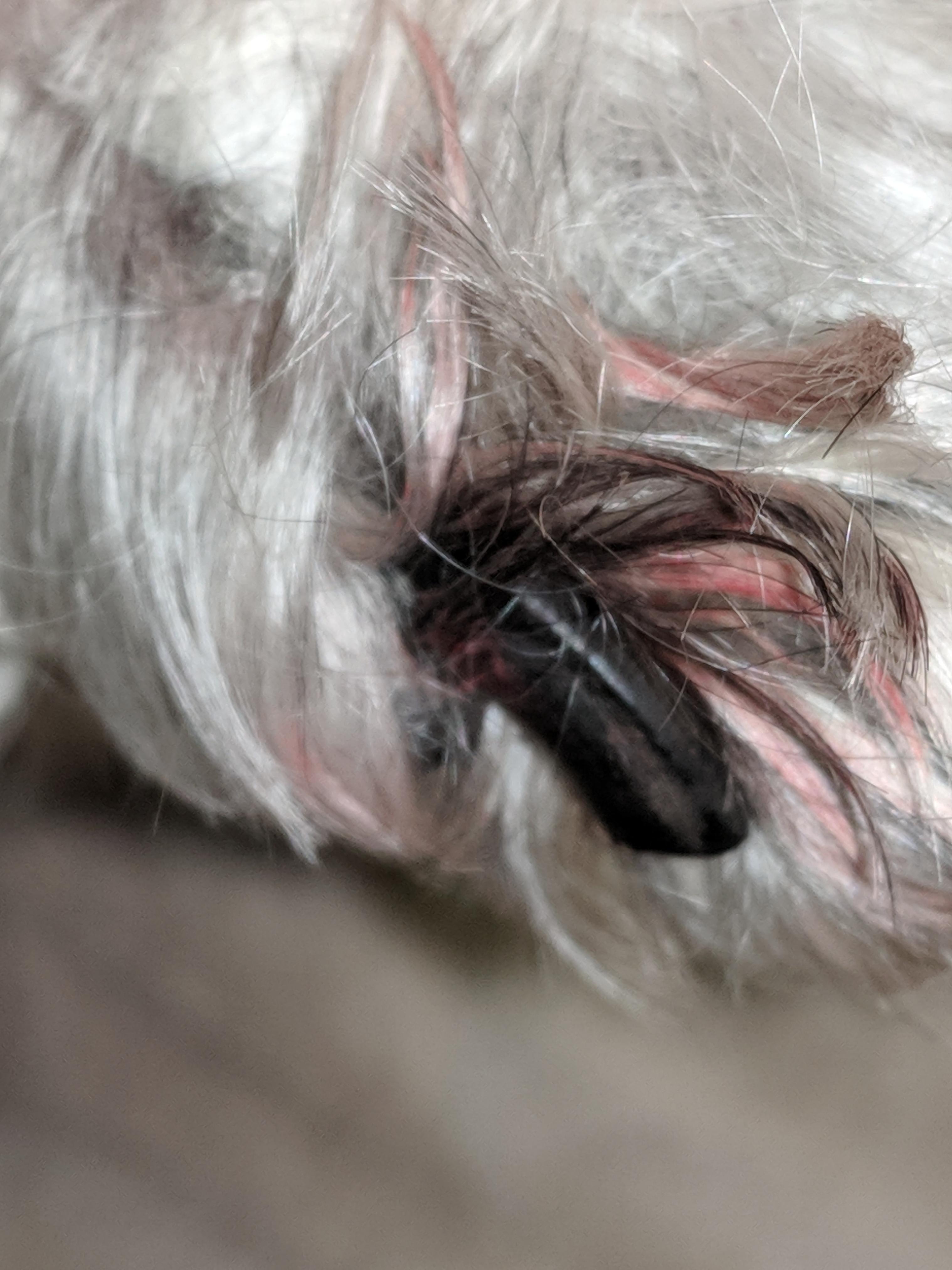 Question details sensitive content