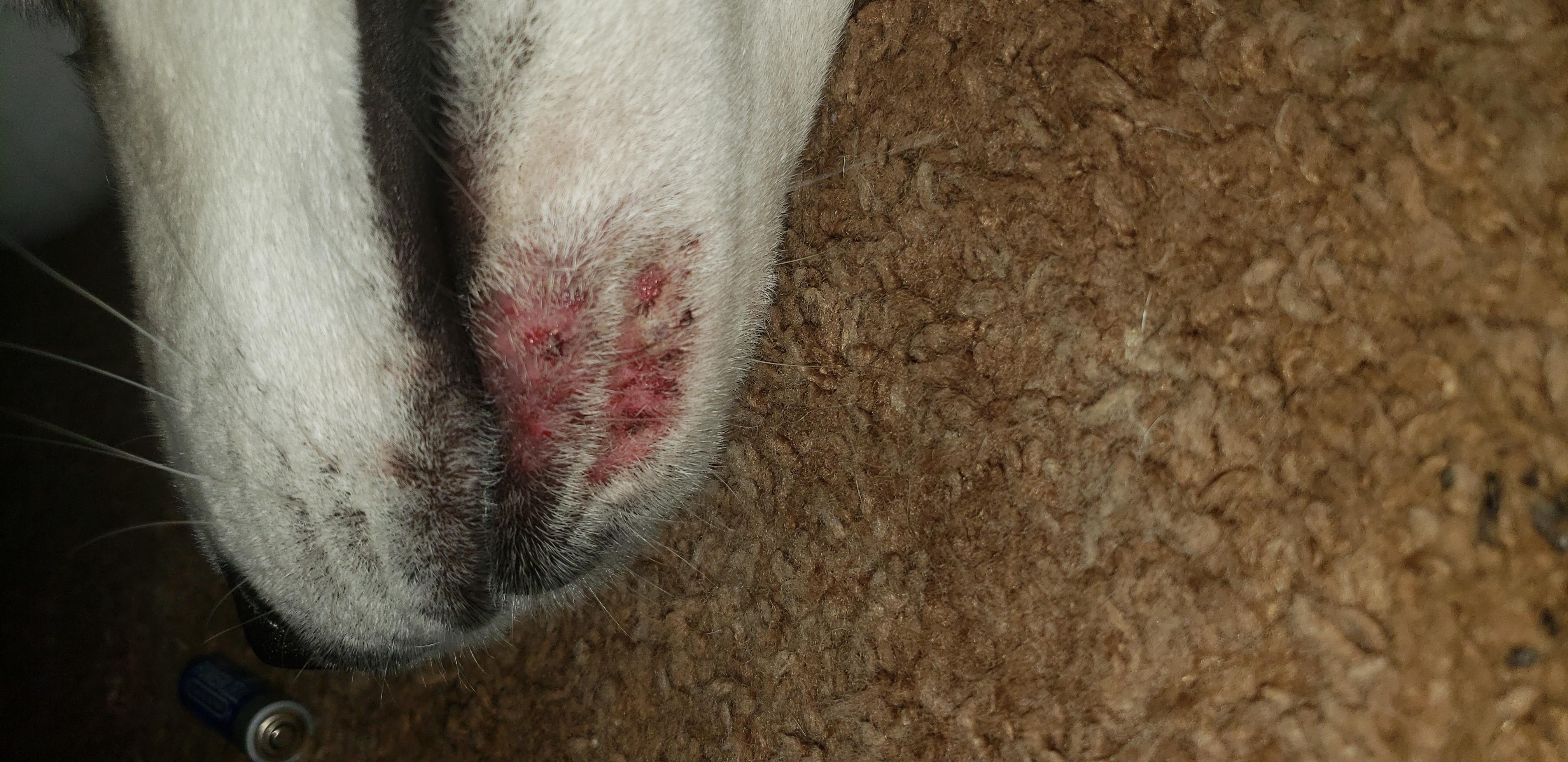 Question details sensitive content