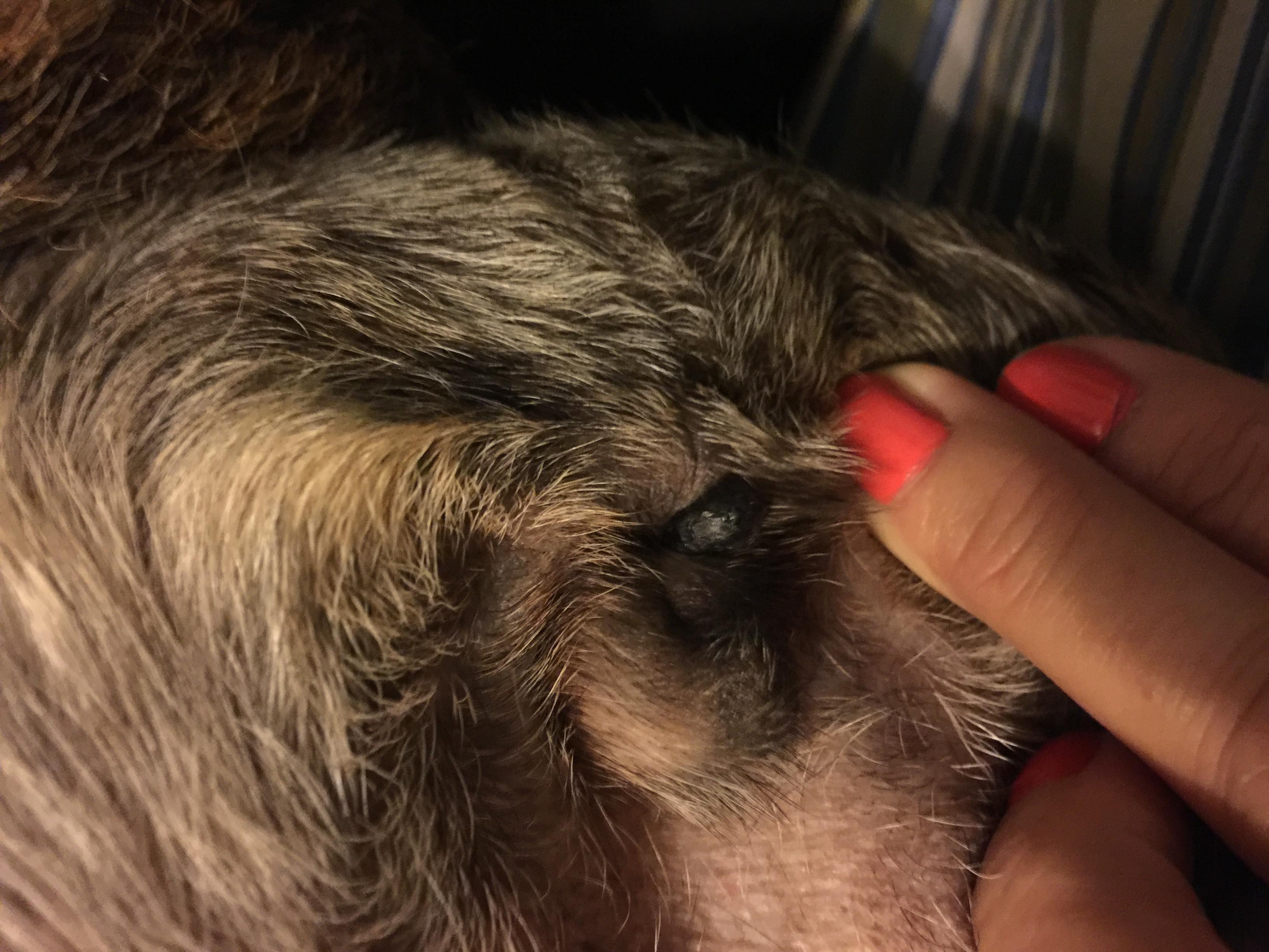 Question details sensitive content