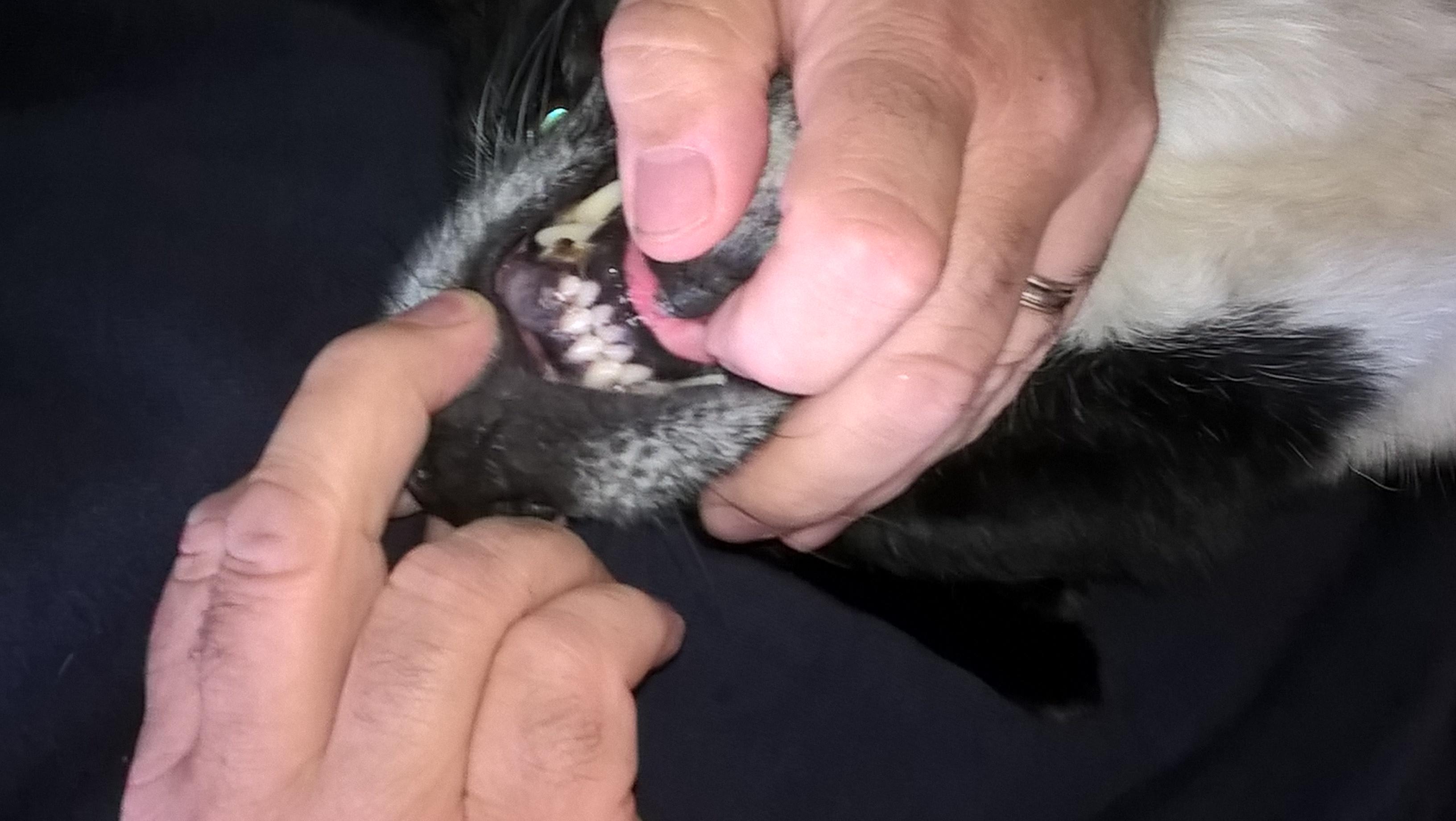 Question details sensitive content