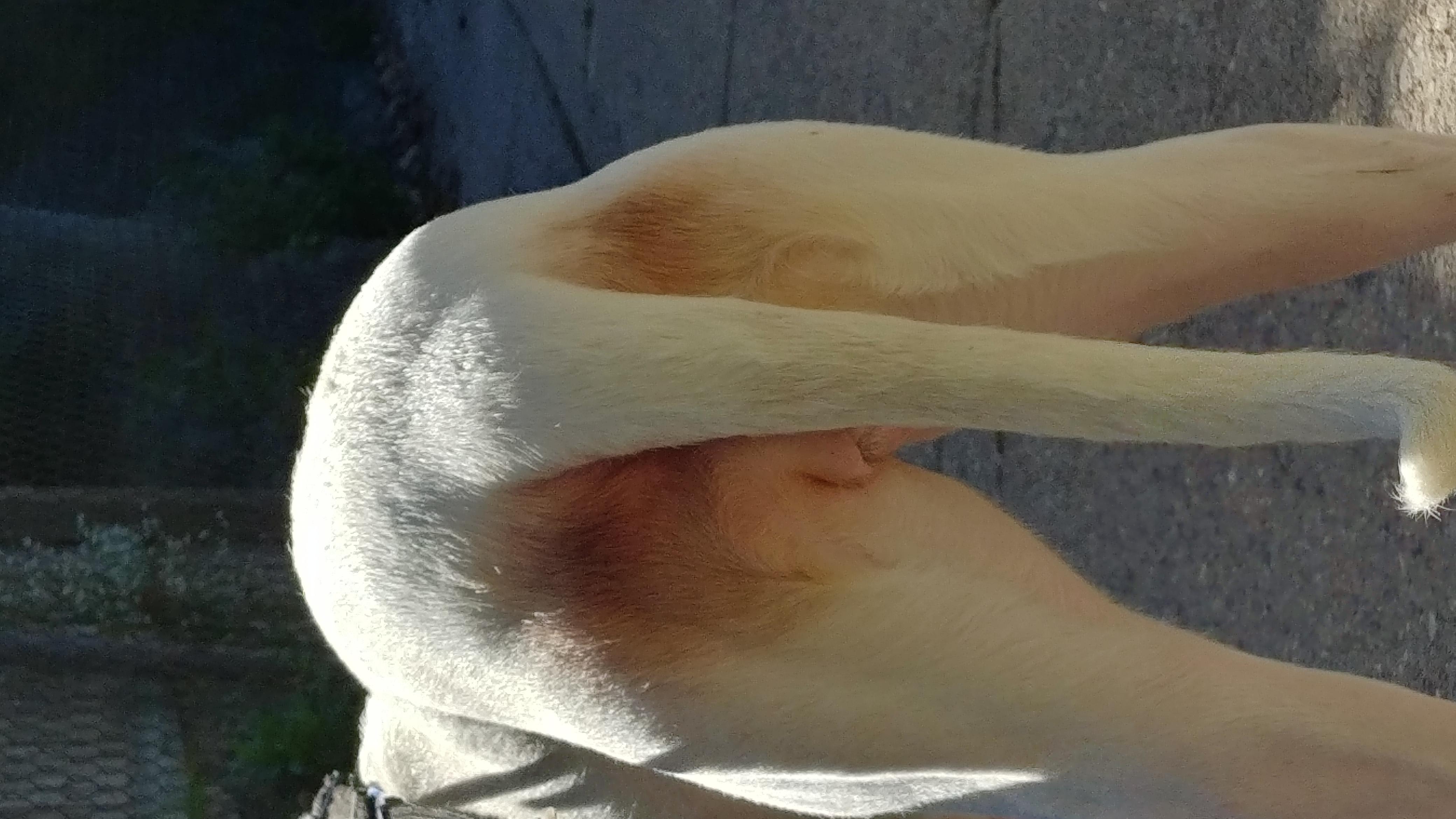 Question details sensitive content