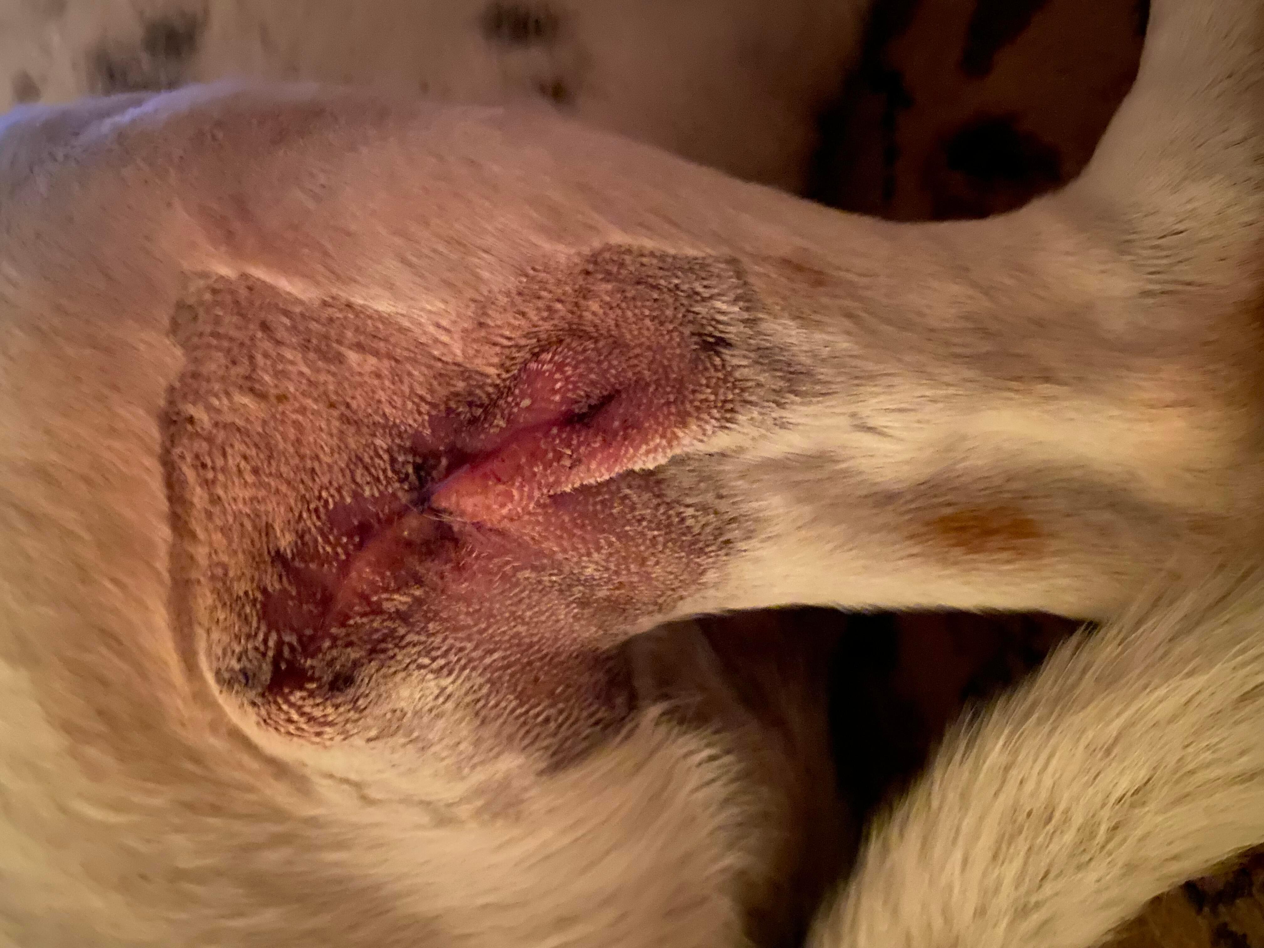 Question details sensitive content