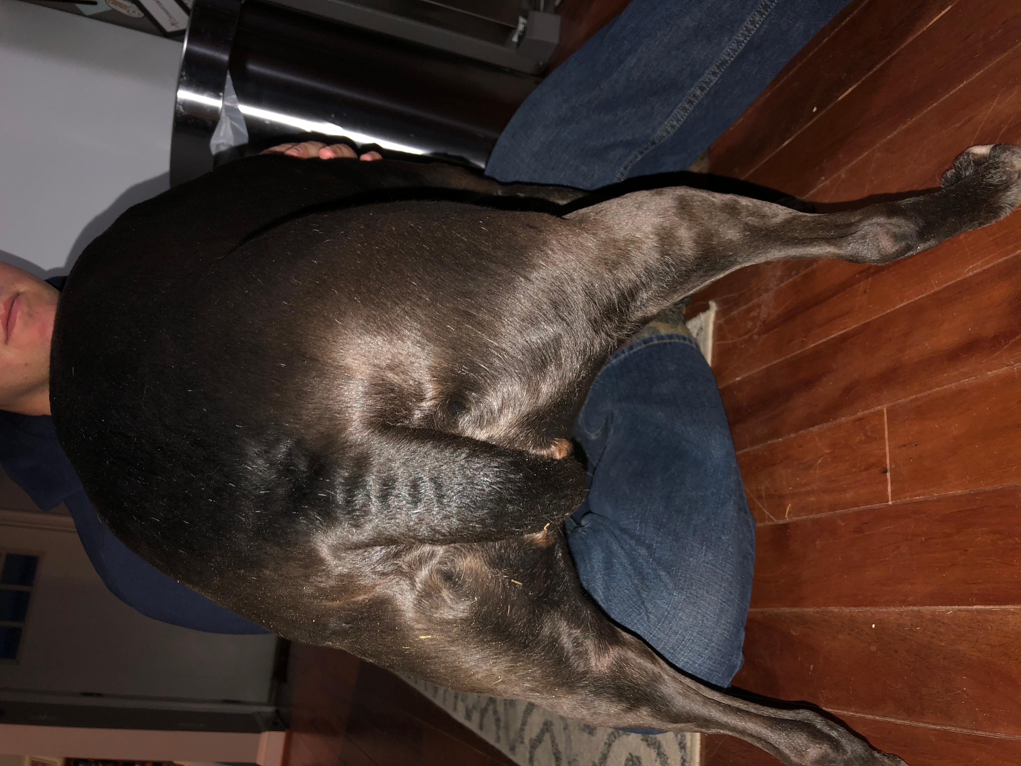 Question details sensitive content