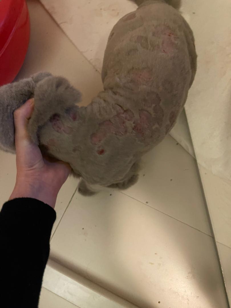 Question details sensitive content