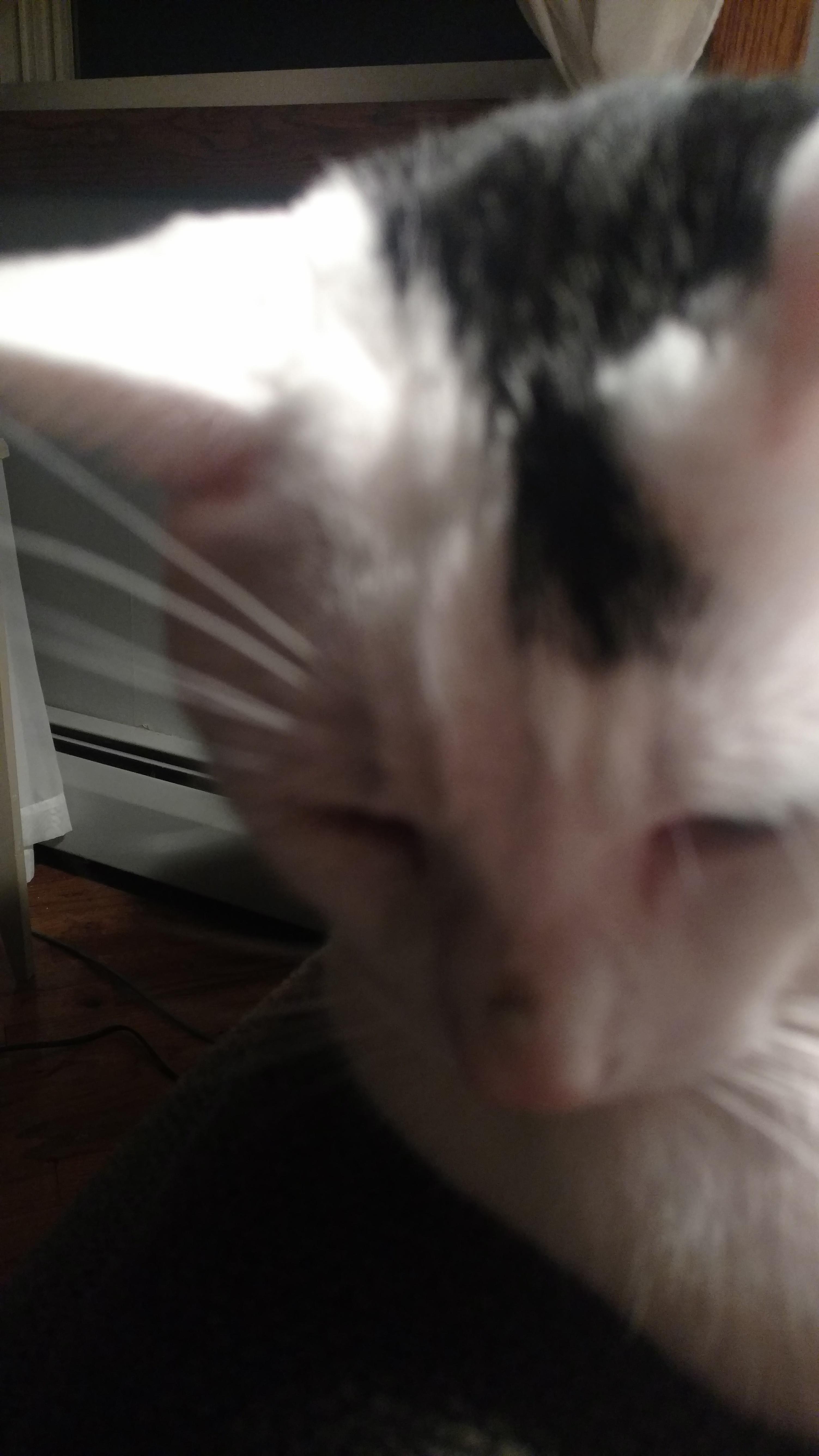 Question details sensitive content