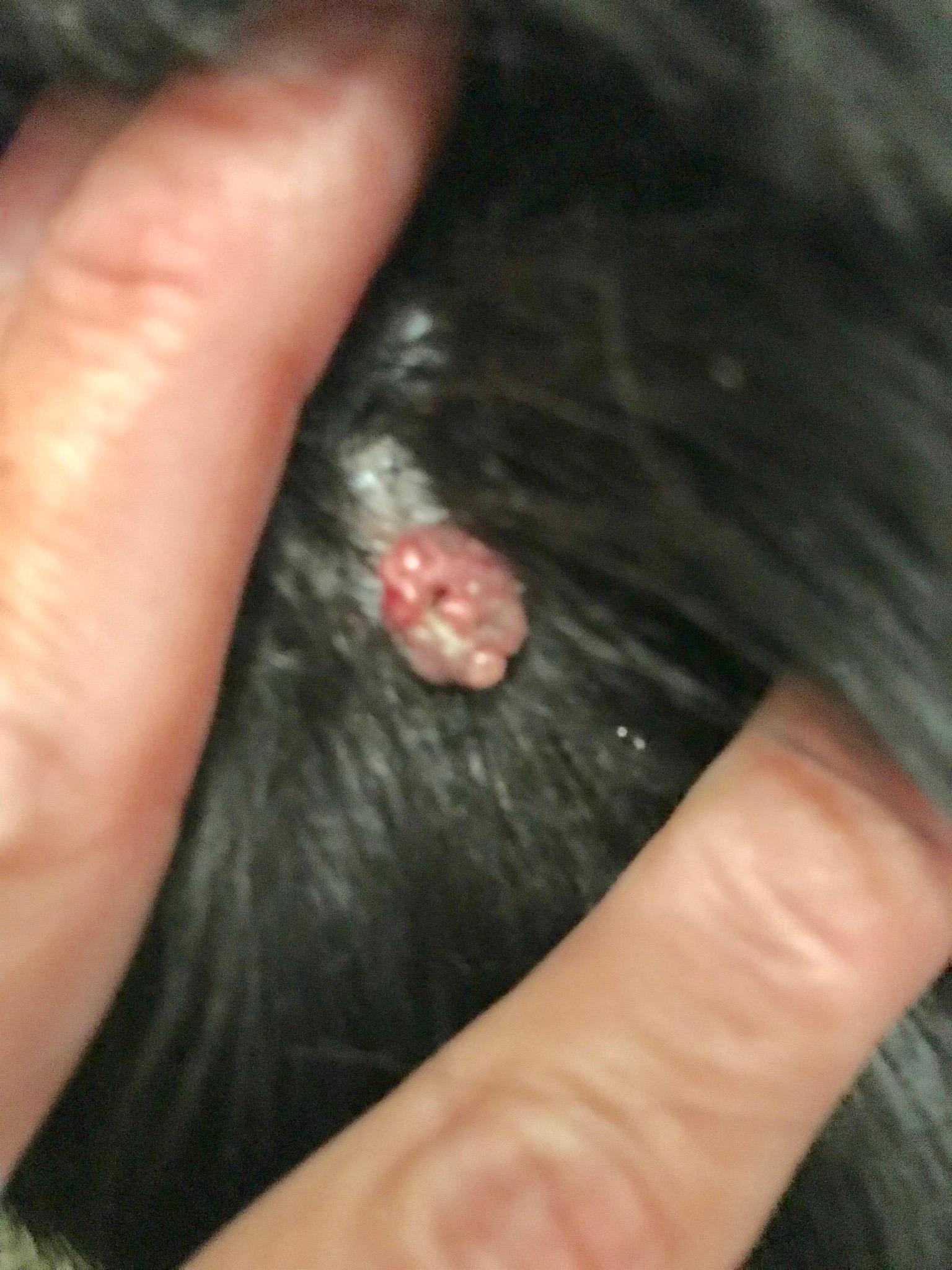 Question details sensitive content