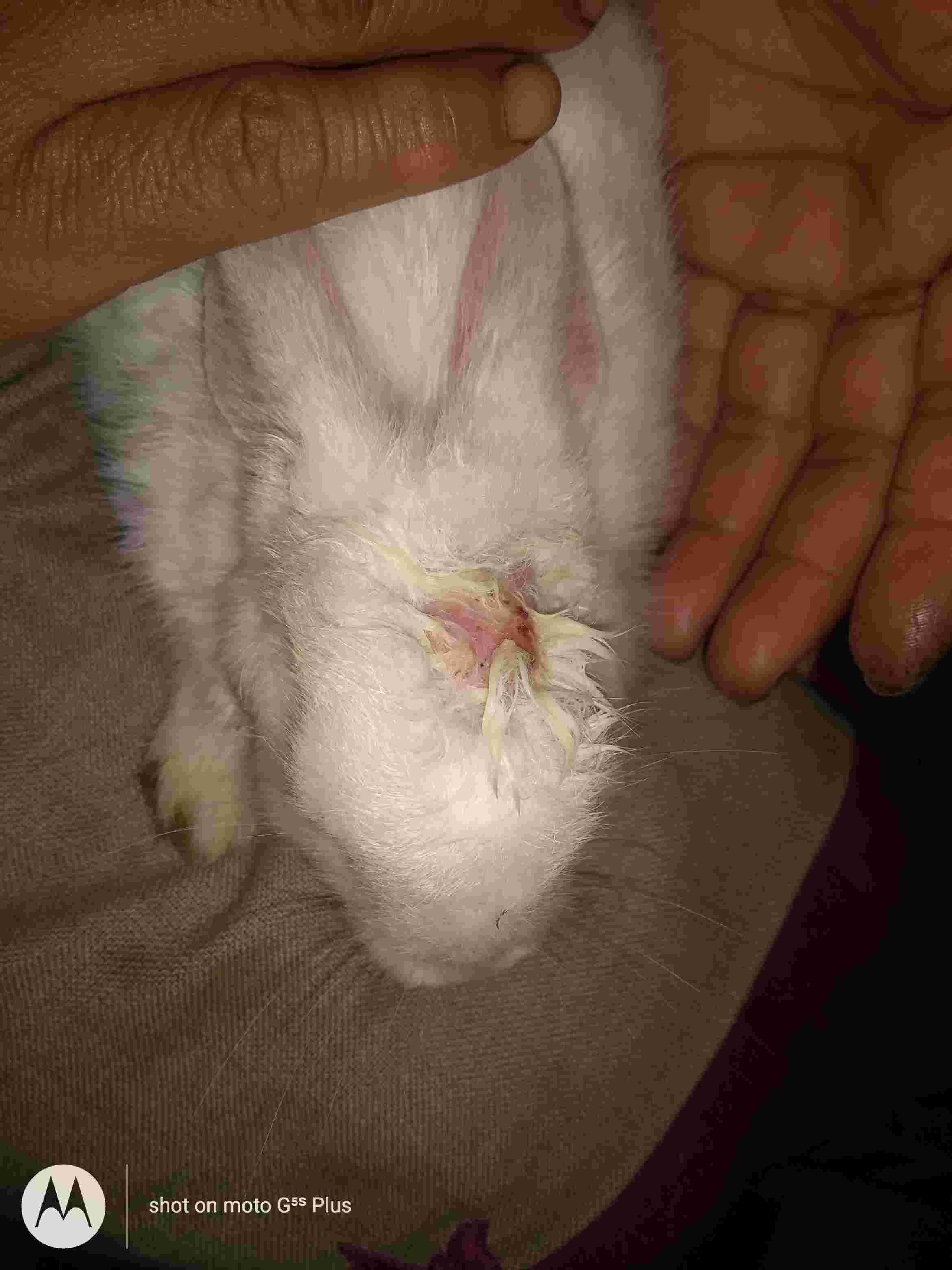 Question details sensitive content