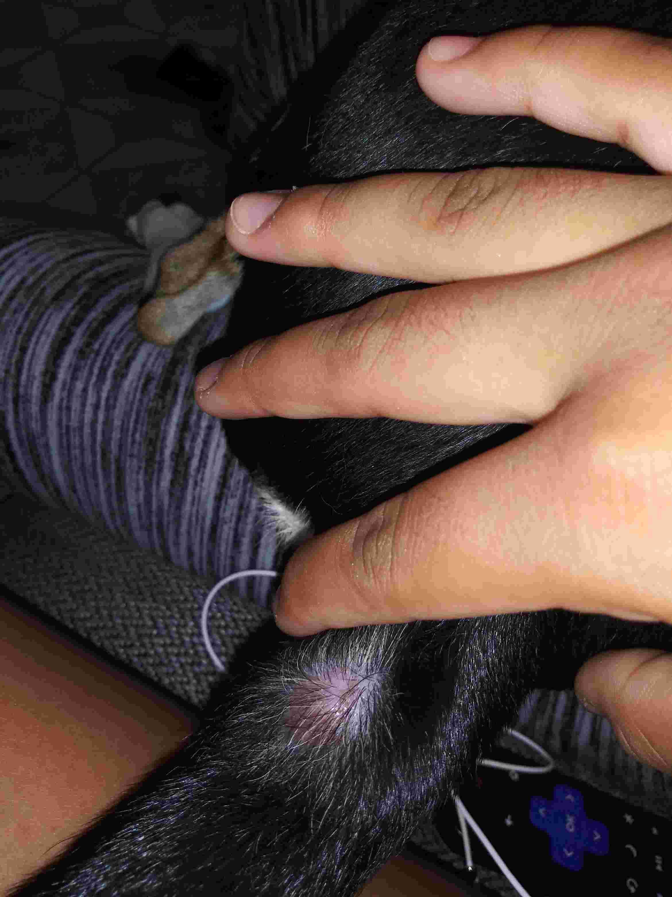 Question details sensitive content