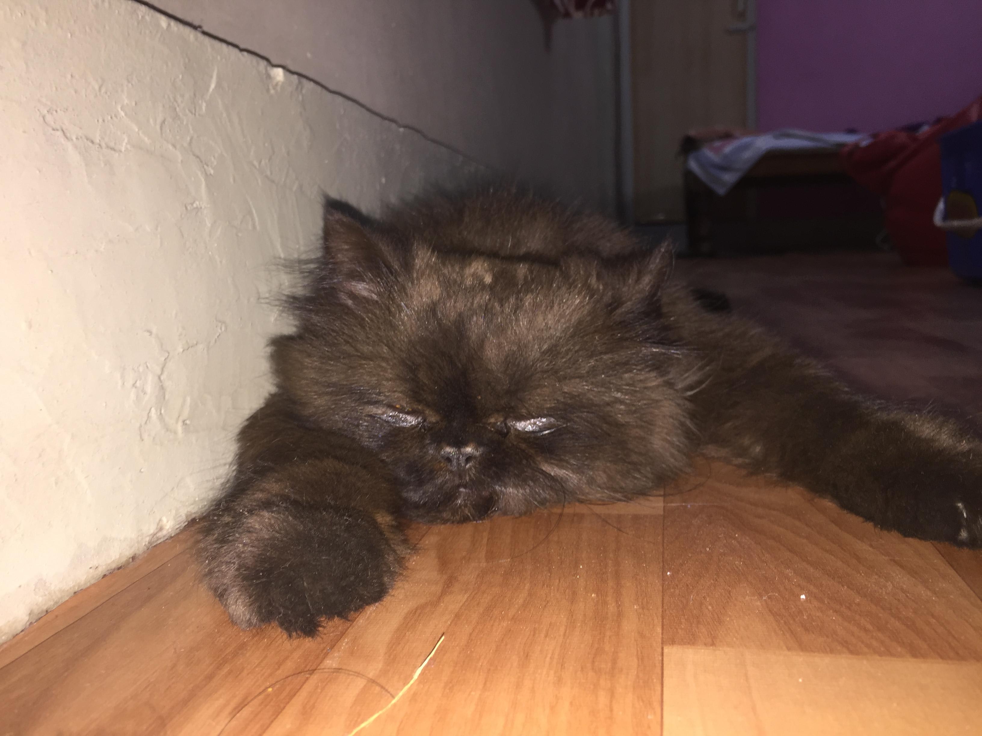 Question details sensitive content