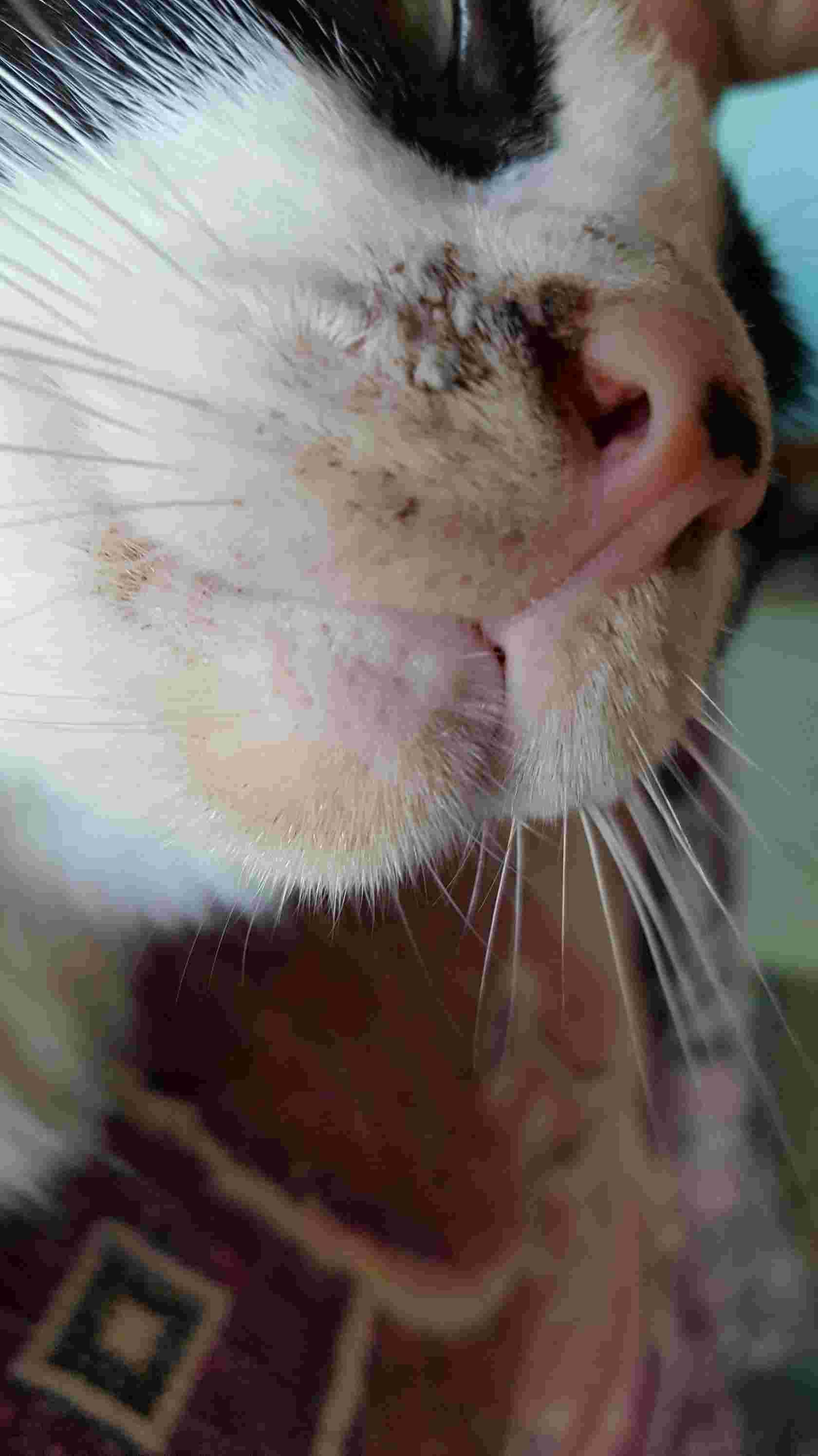 Question details sensitive content