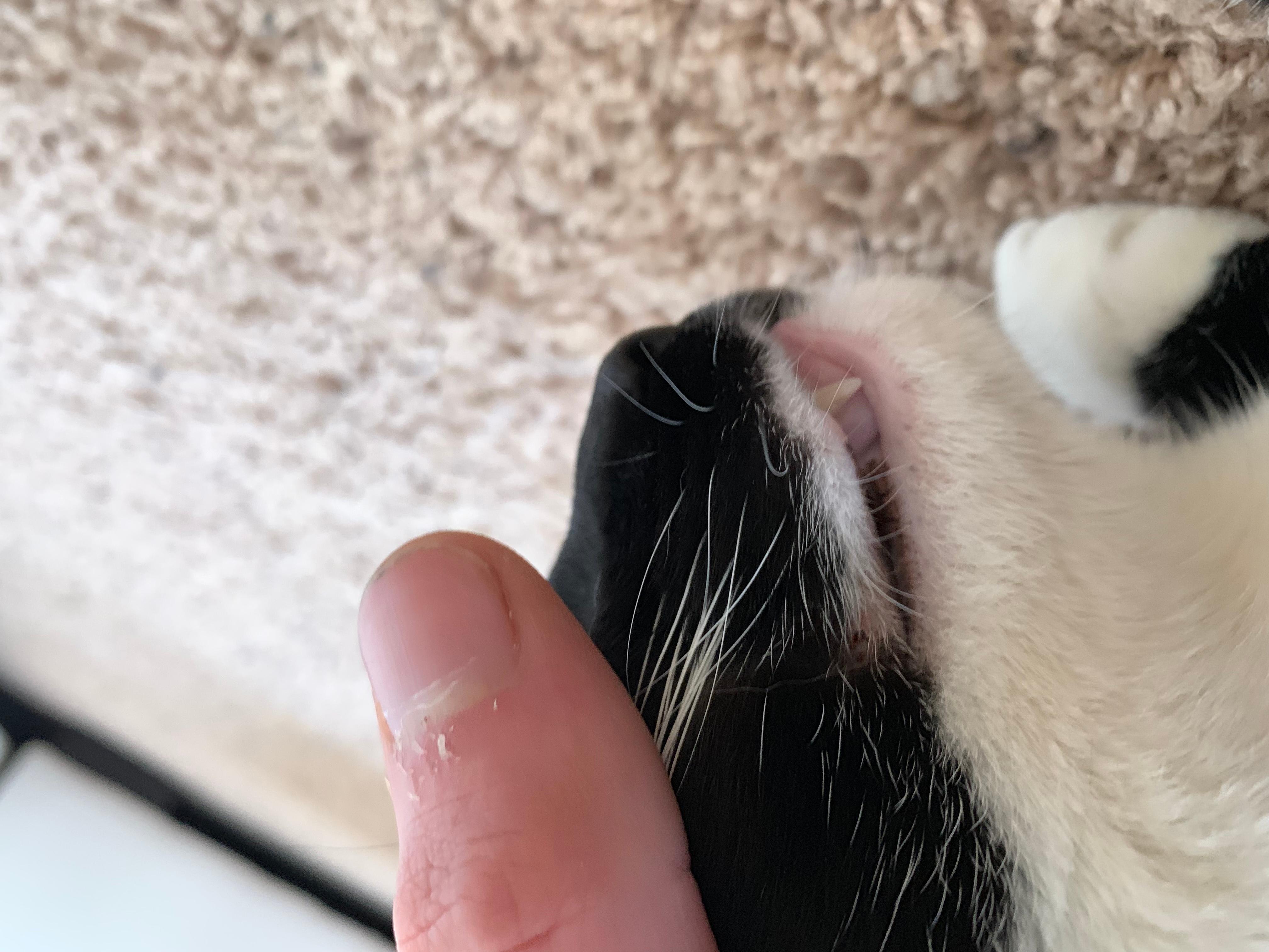 Question details sensitive content