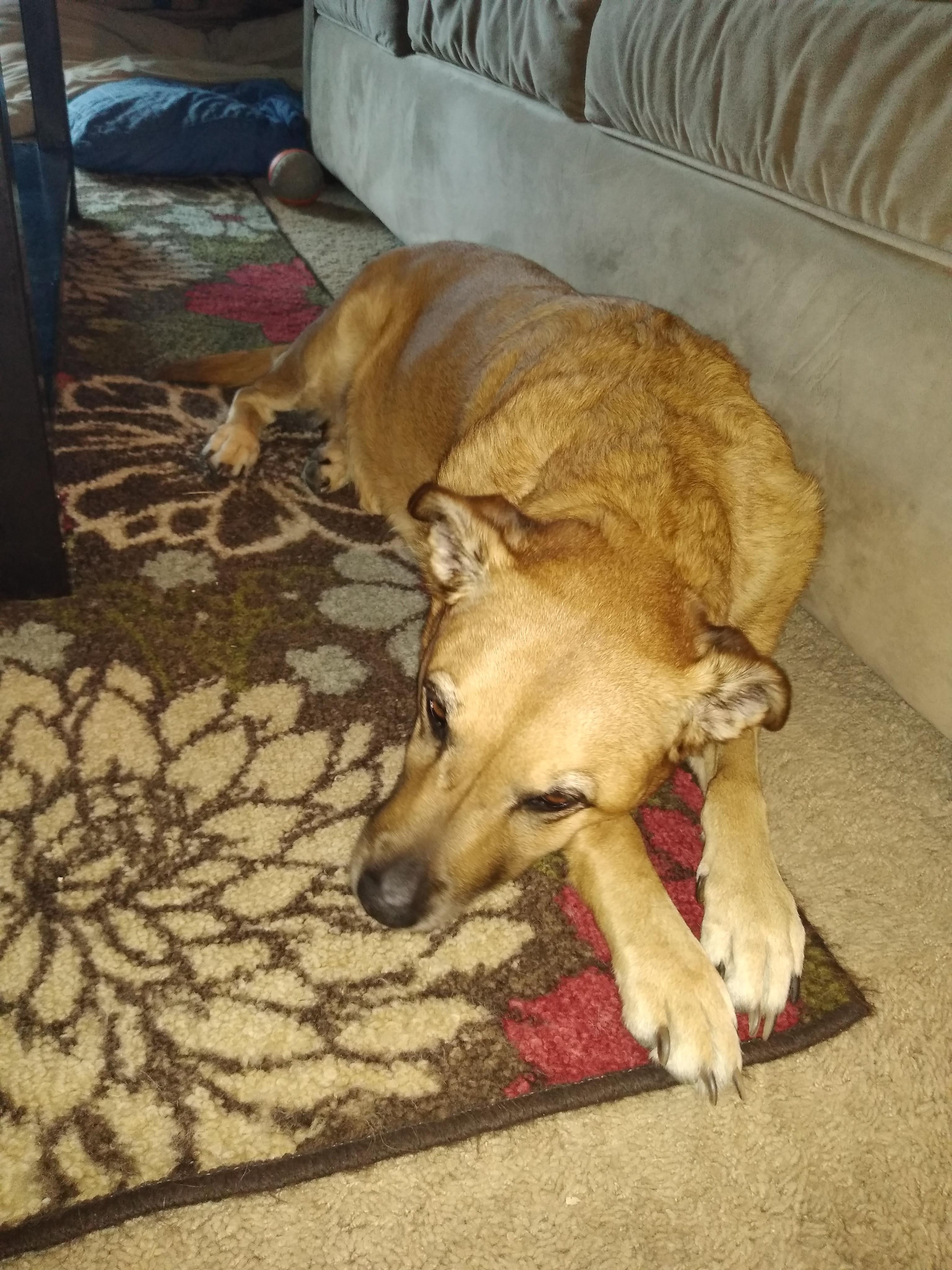 Question details sensitive content