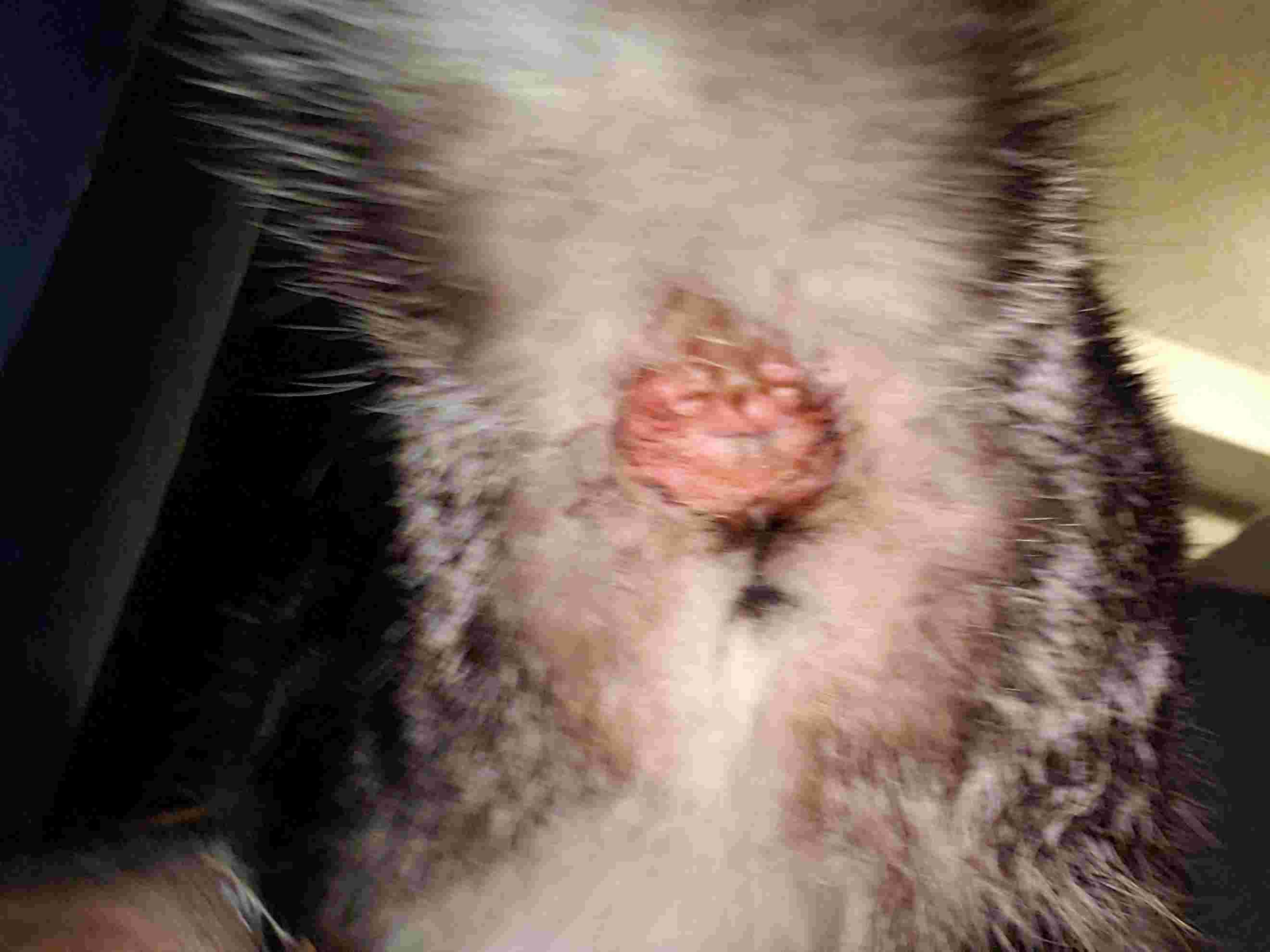 Question details sensitive content