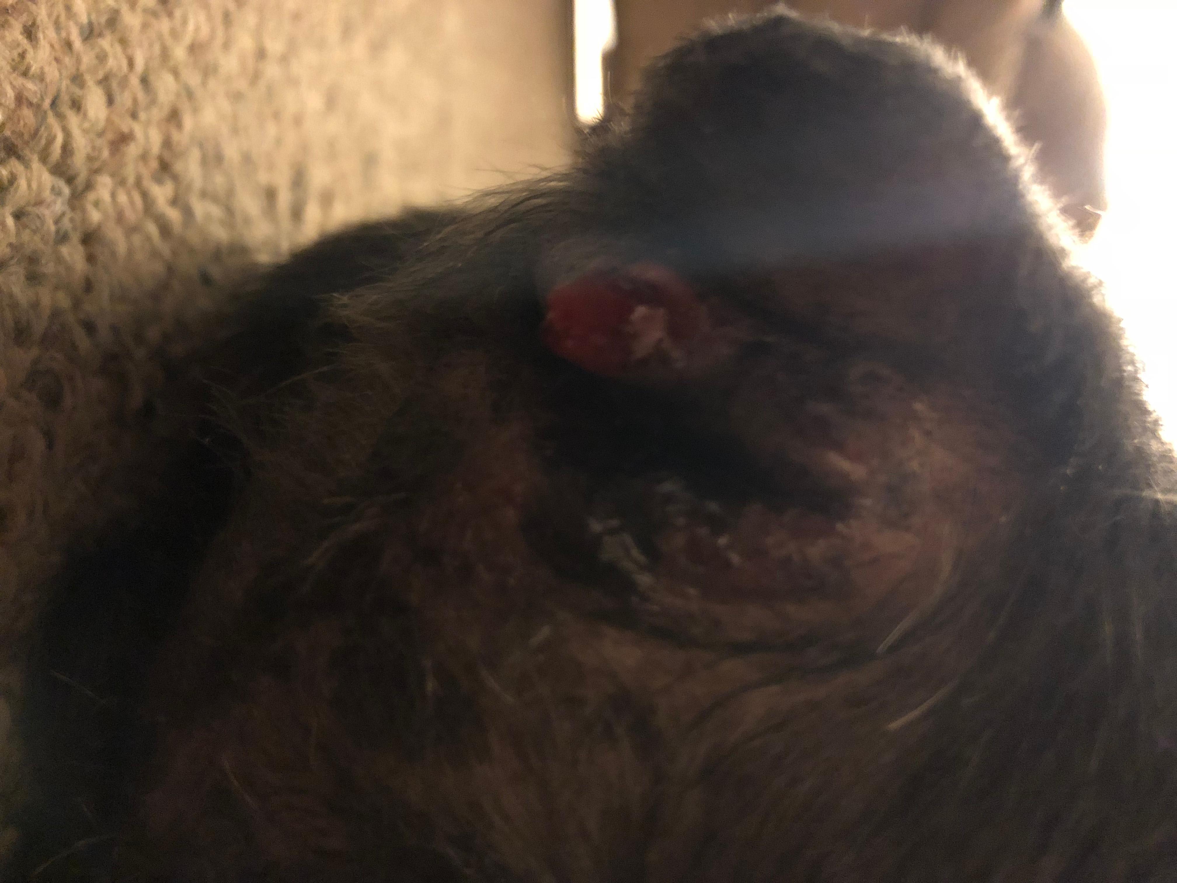 Question details sensitive content