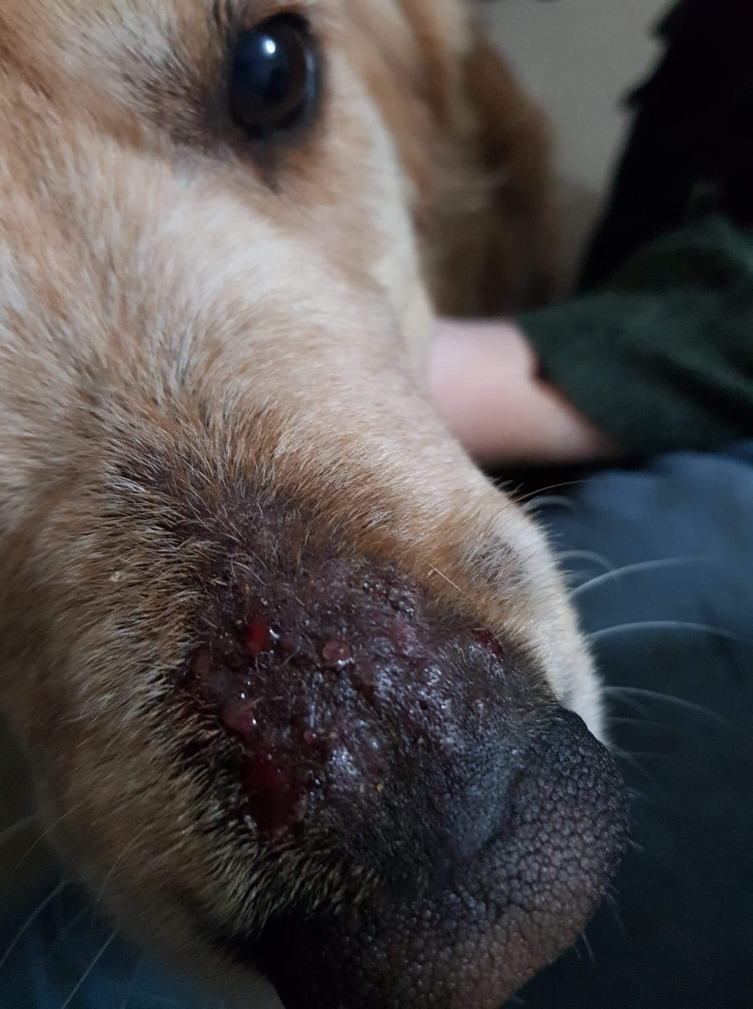 Question details sensitive content