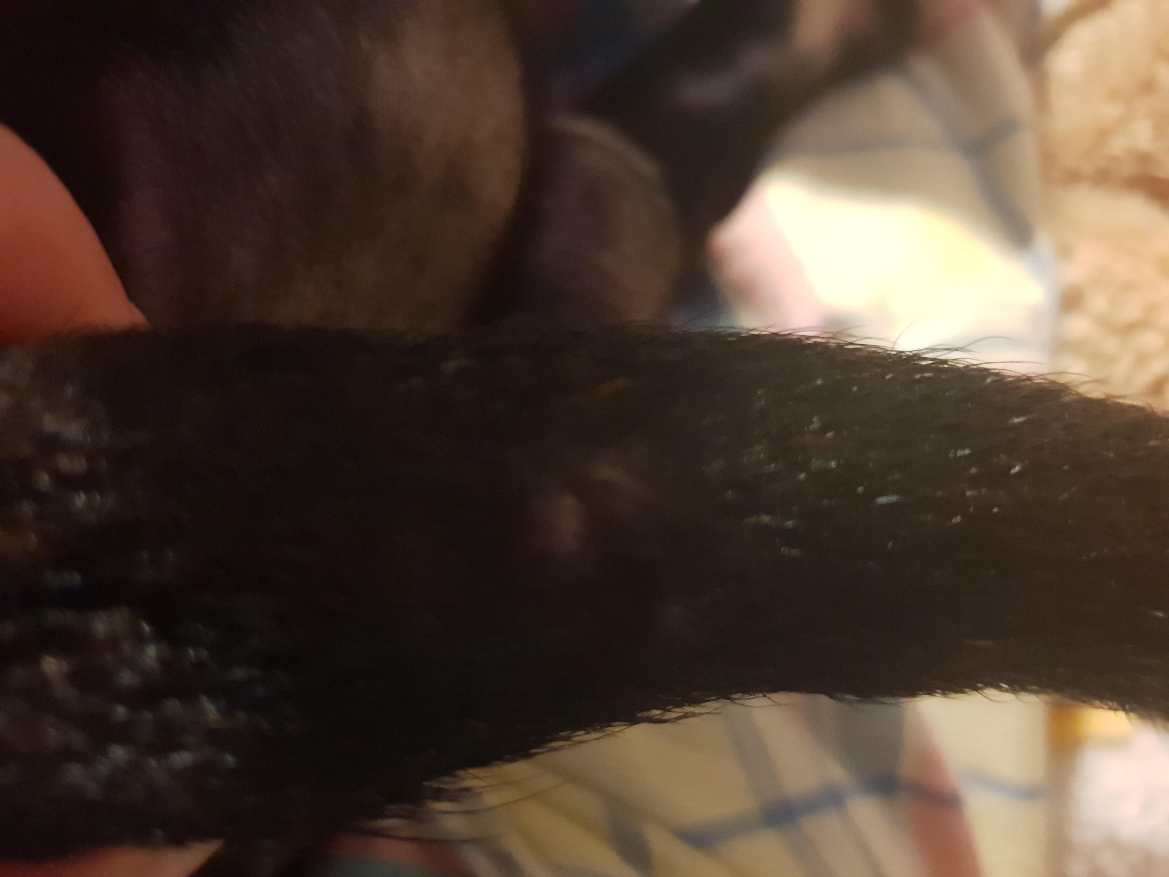 Question details sensitive content