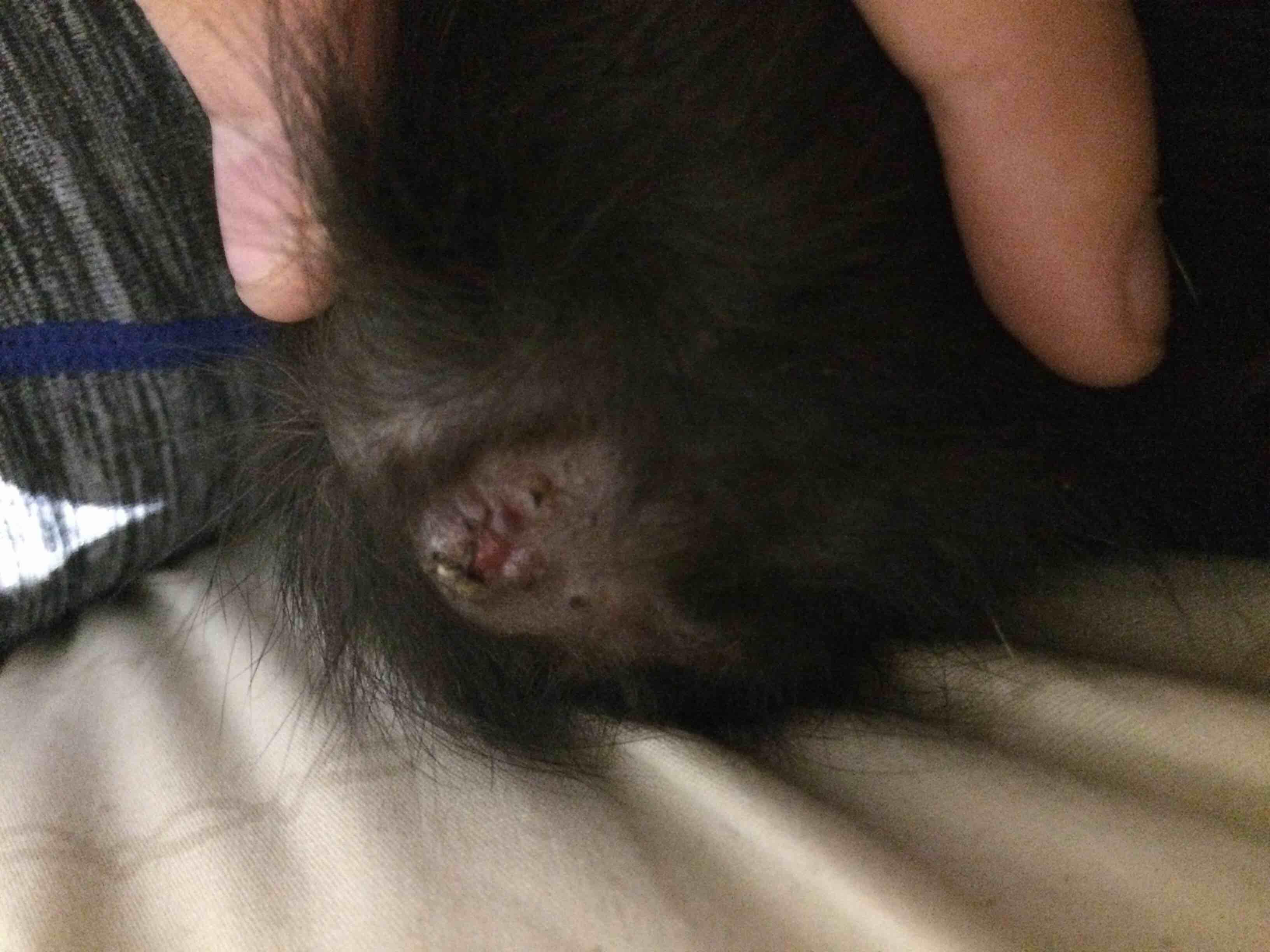 Question details sensitive content