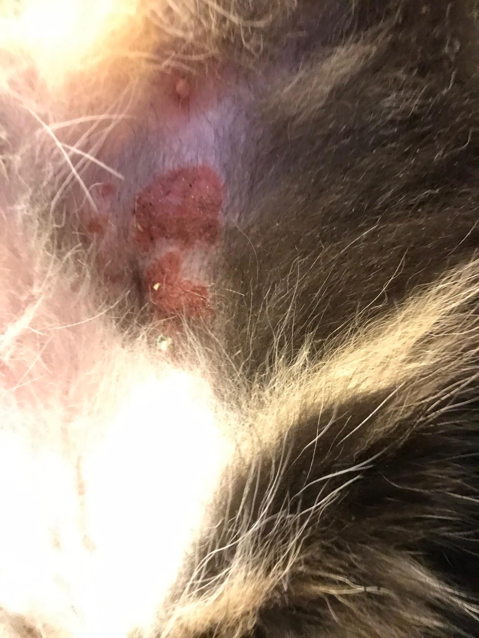 Question details sensitive content