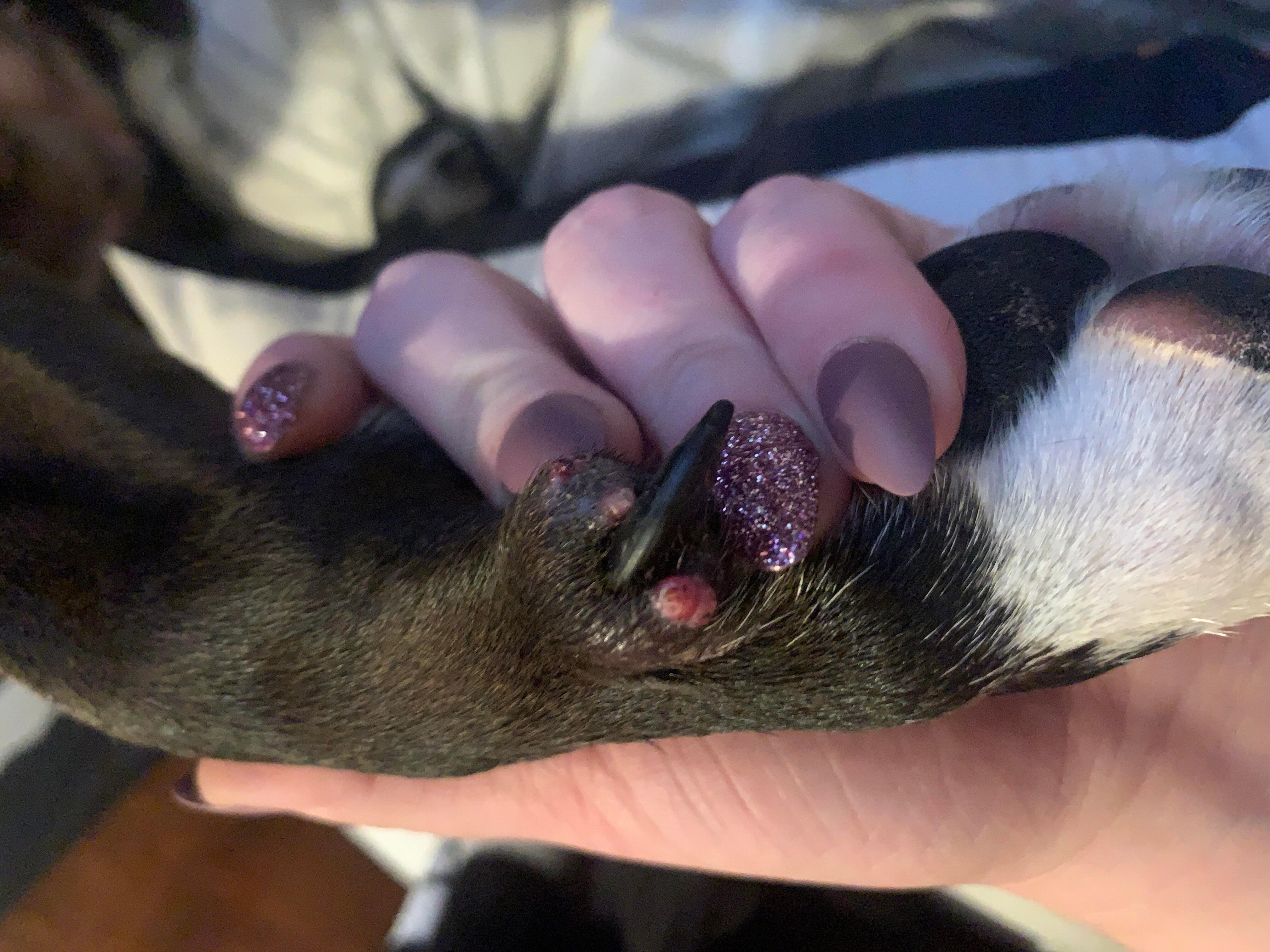 Question details sensitive content