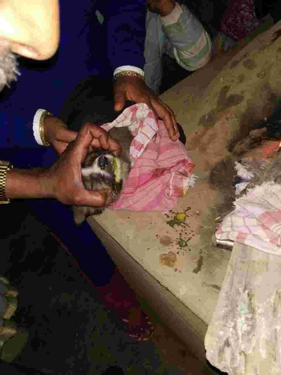 Question details sensitive content