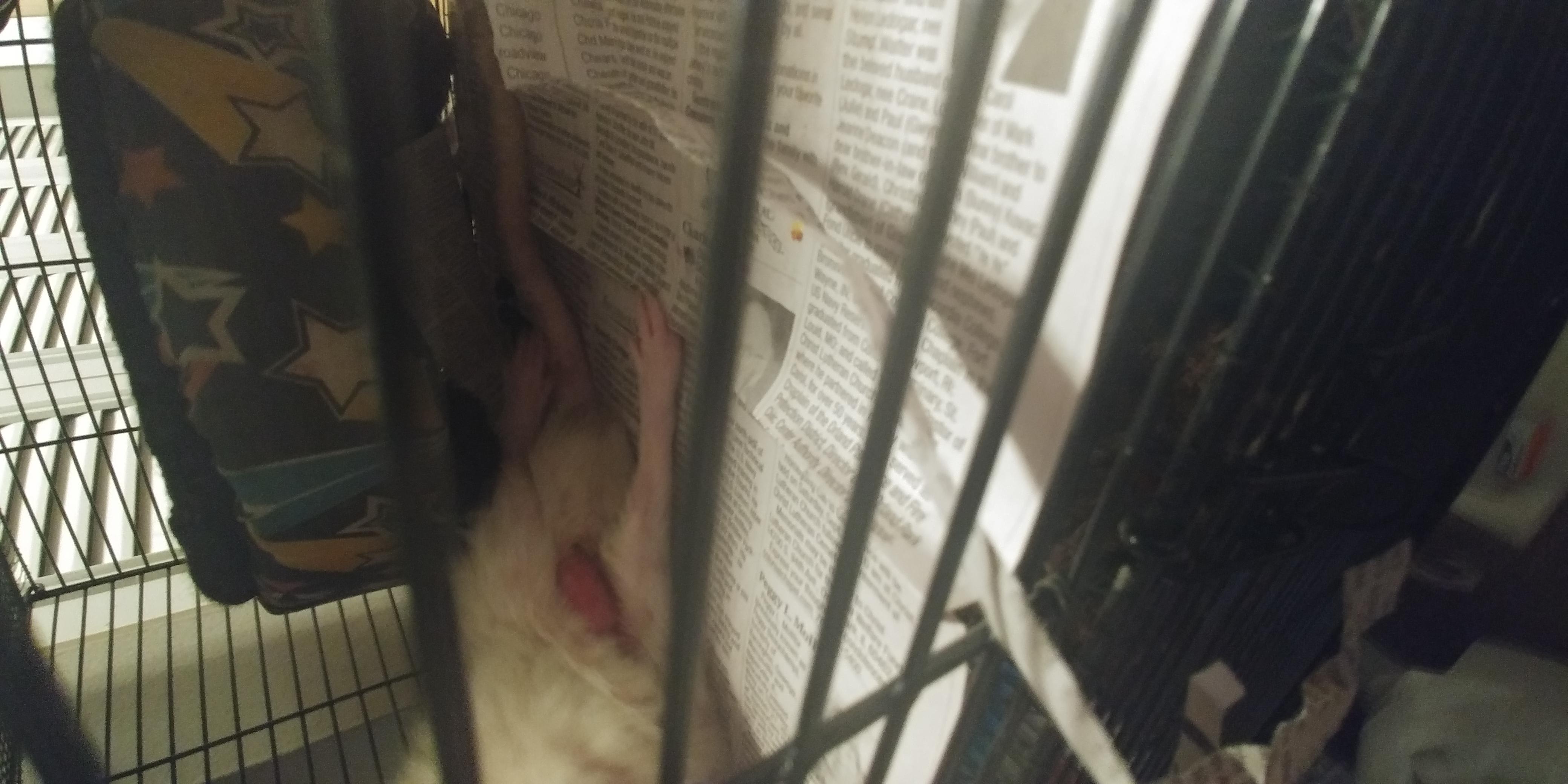 Question details sensitive content