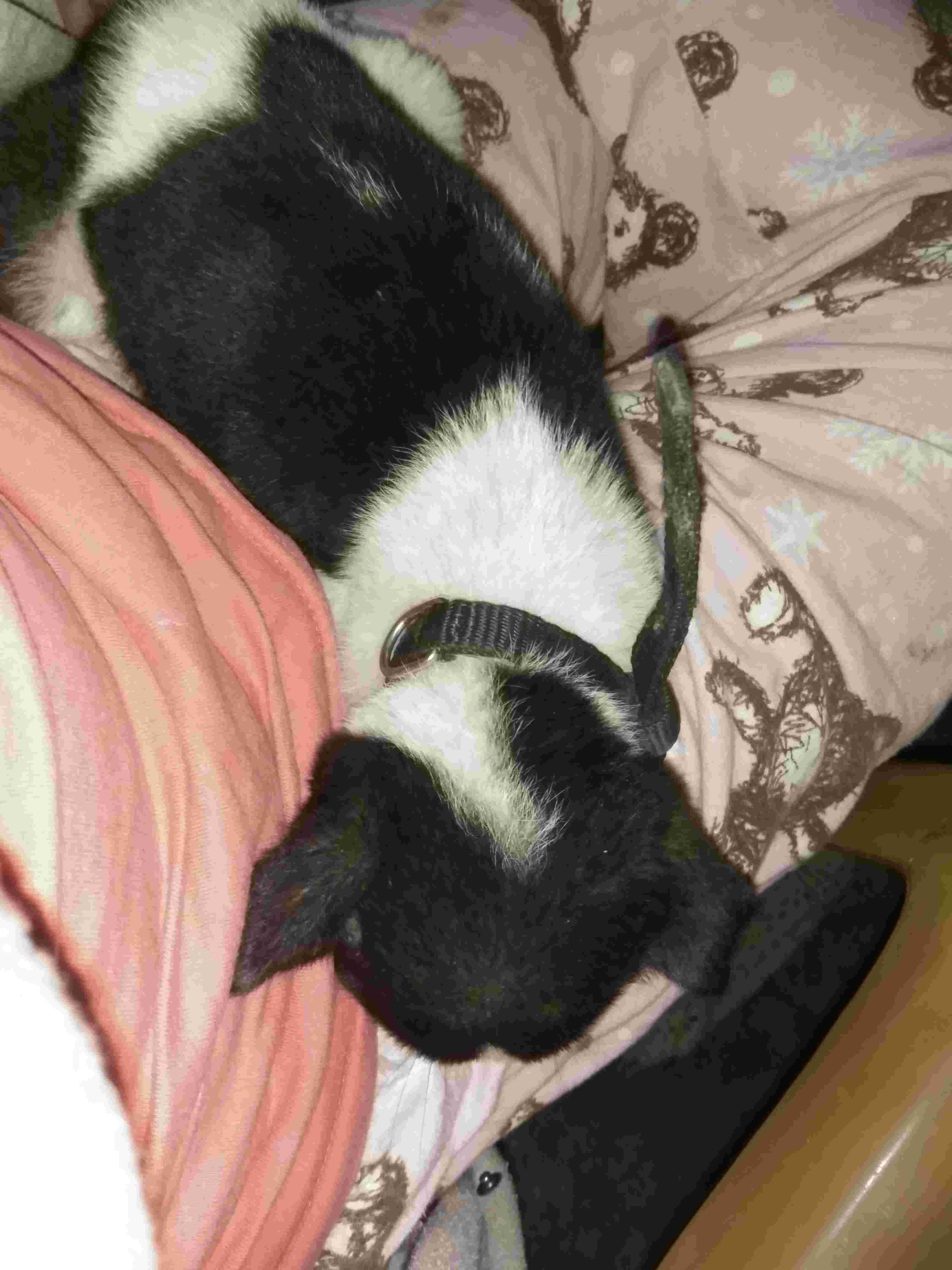 Question details sensitive content