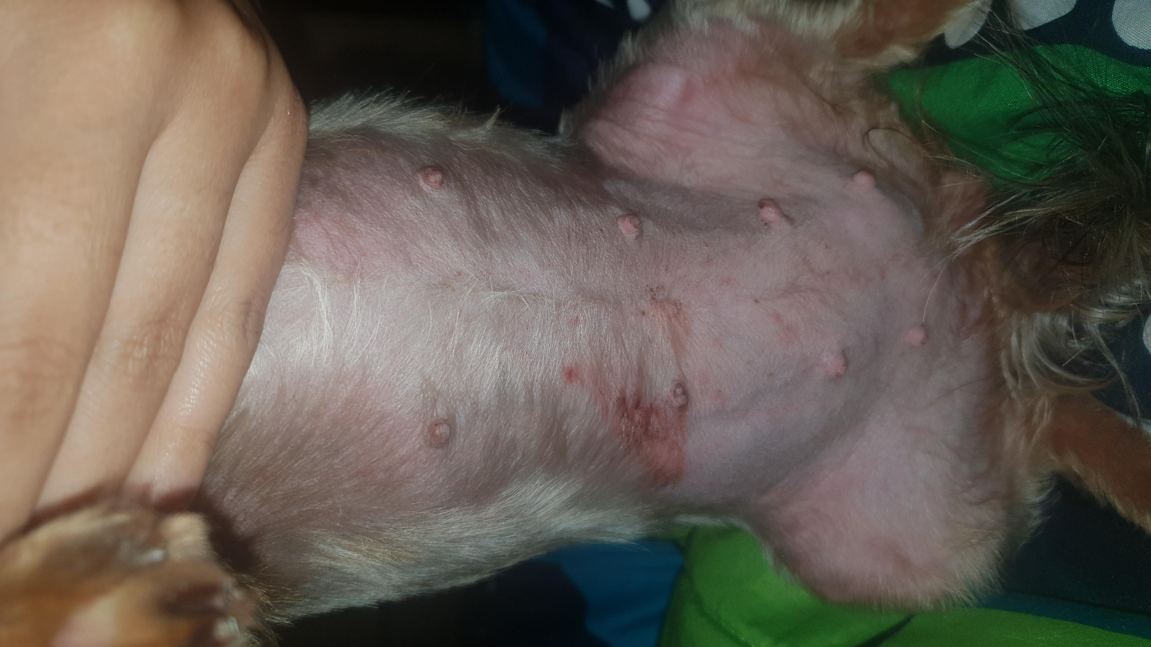 Question details sensitive content