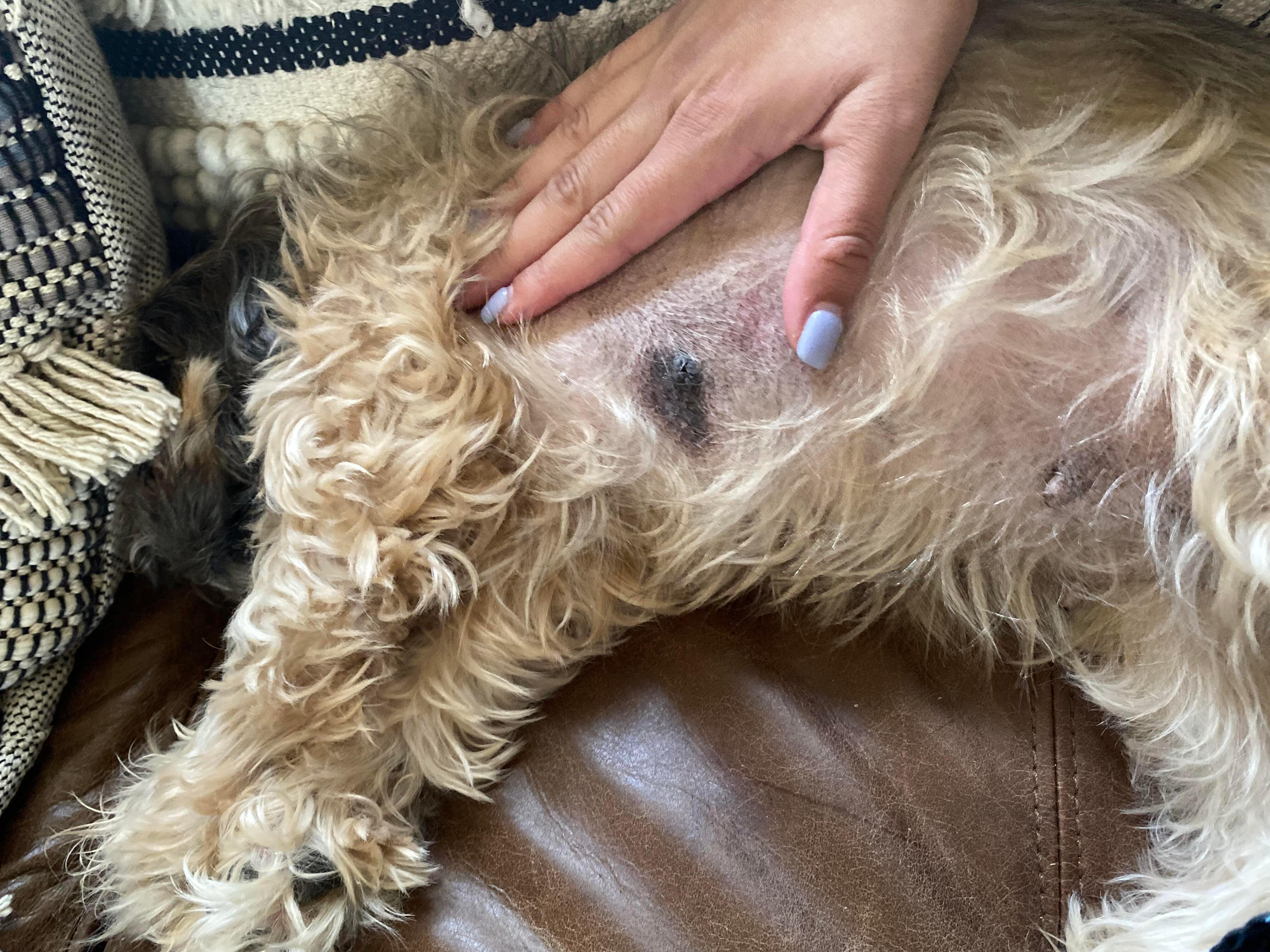 Question details sensitive content