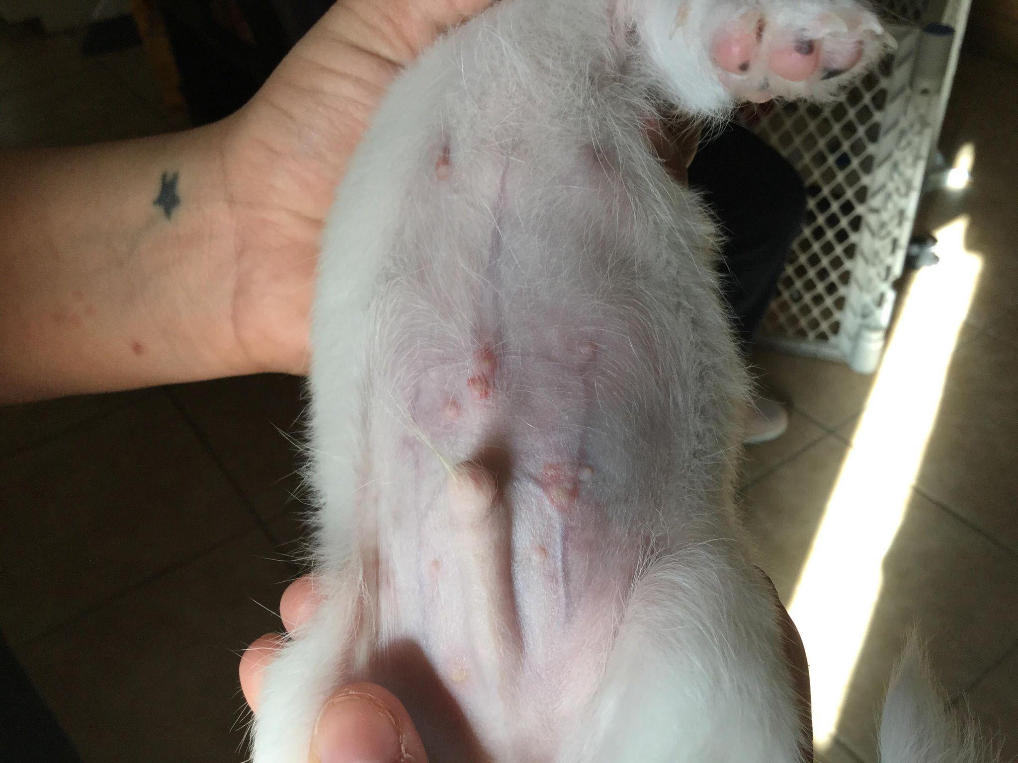 Question details sensitive content