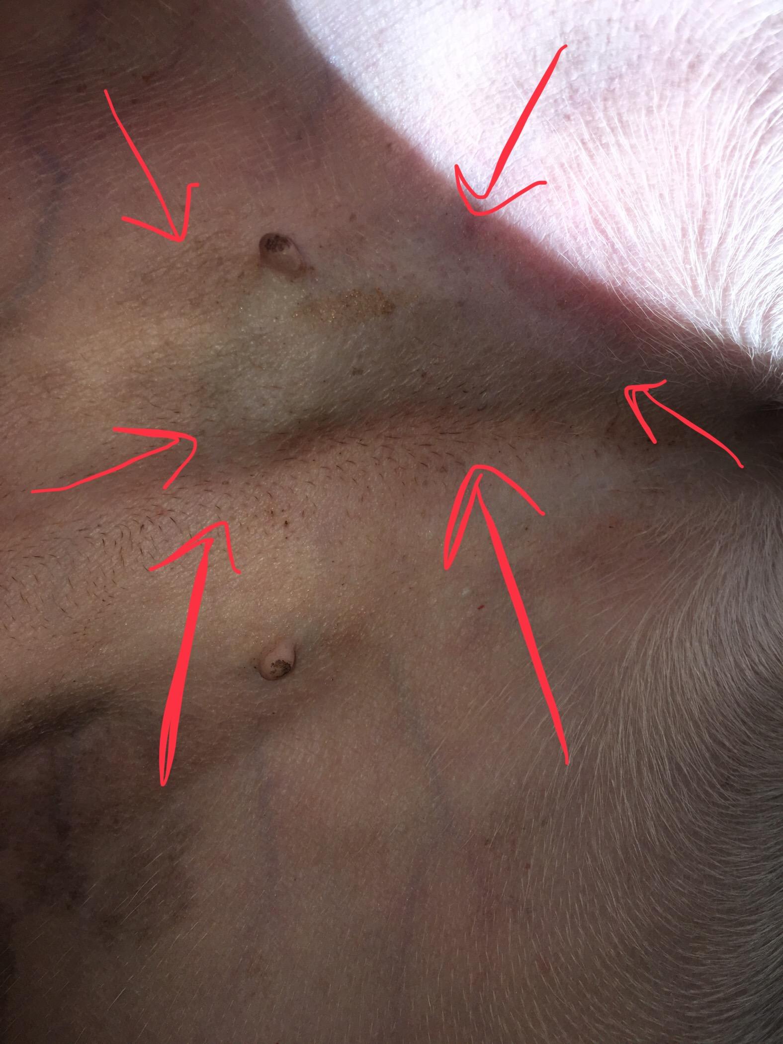 Question details sensitive content