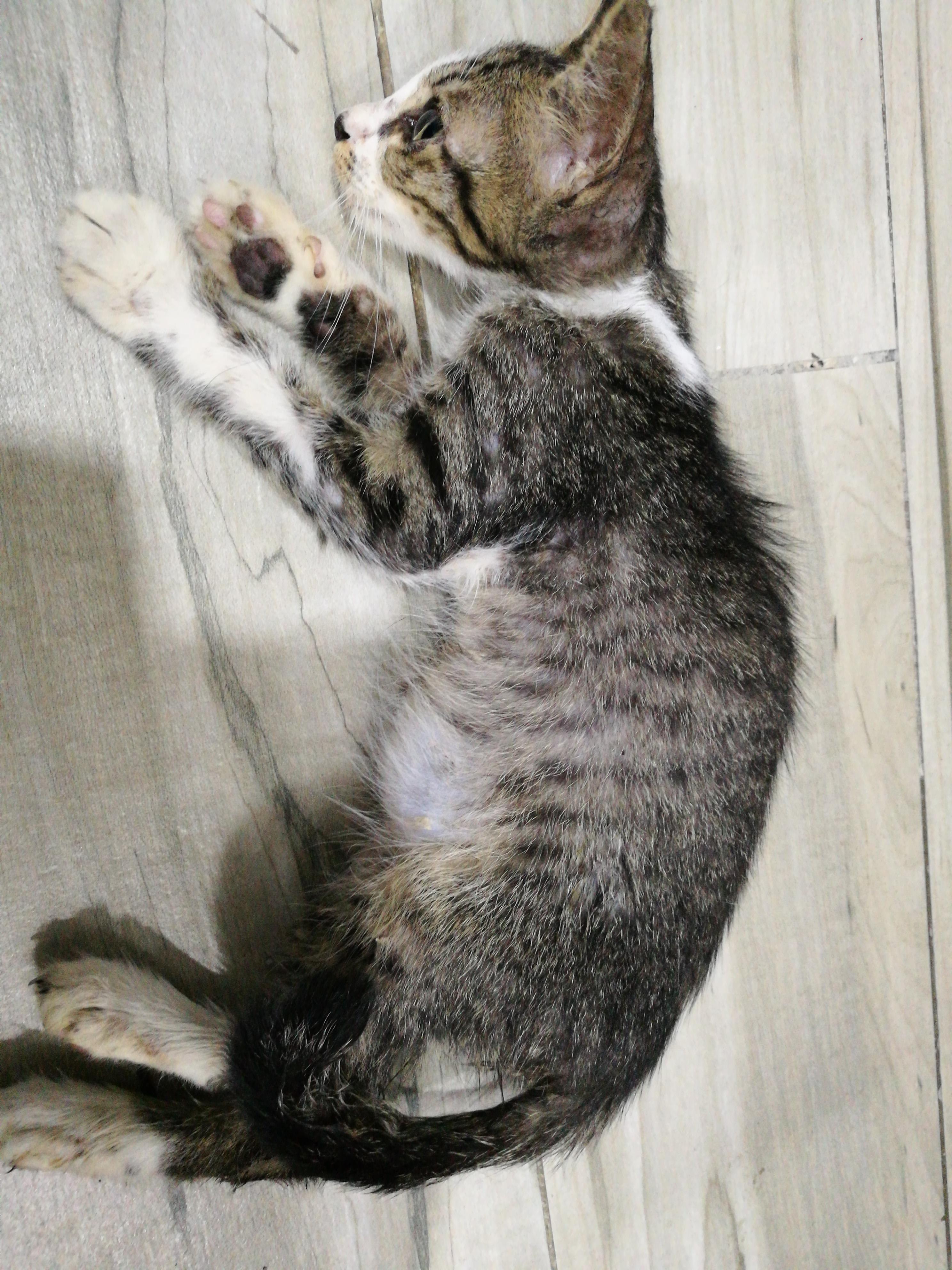 Question details sensitive content