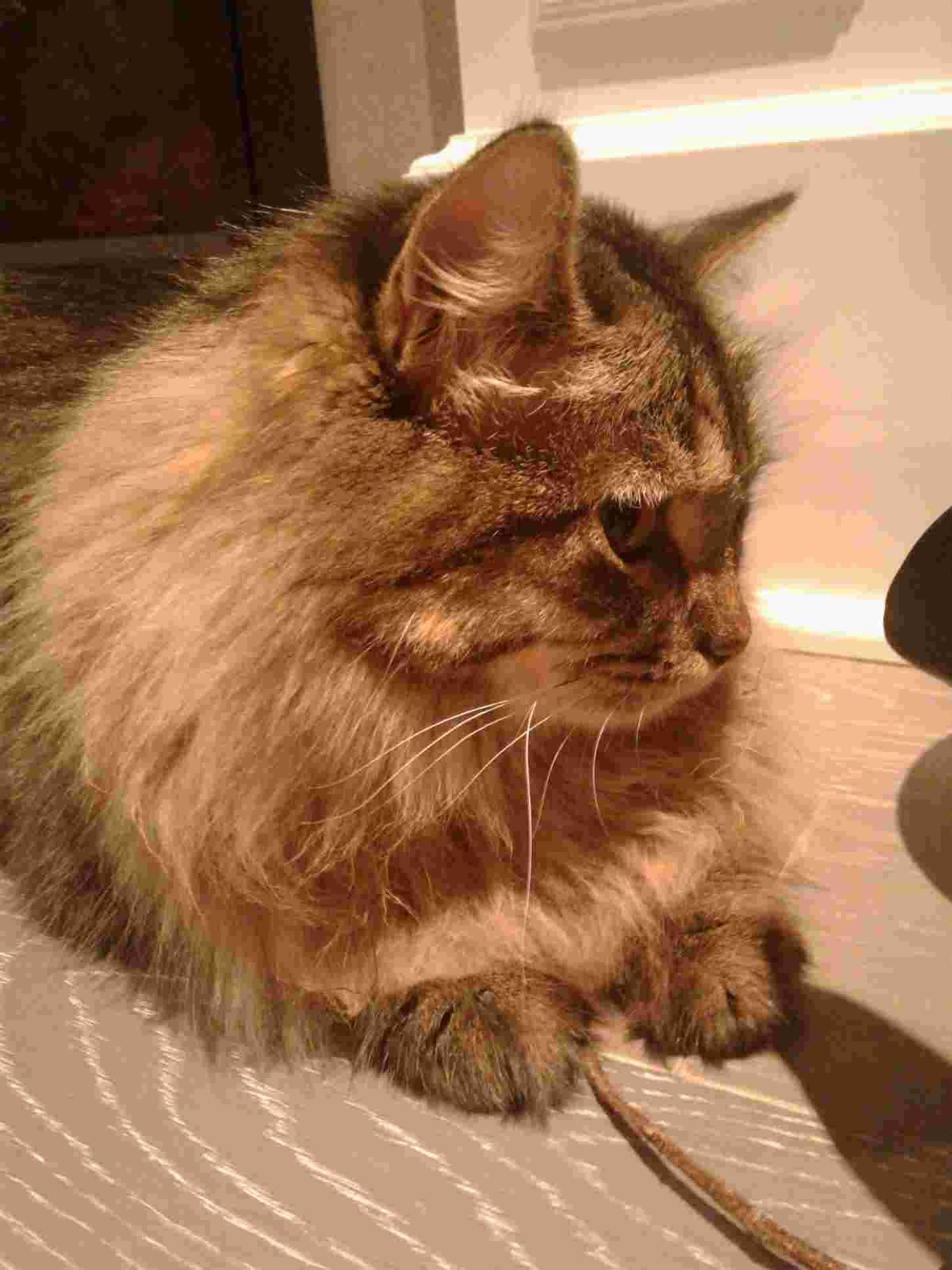 Question details sensitive content